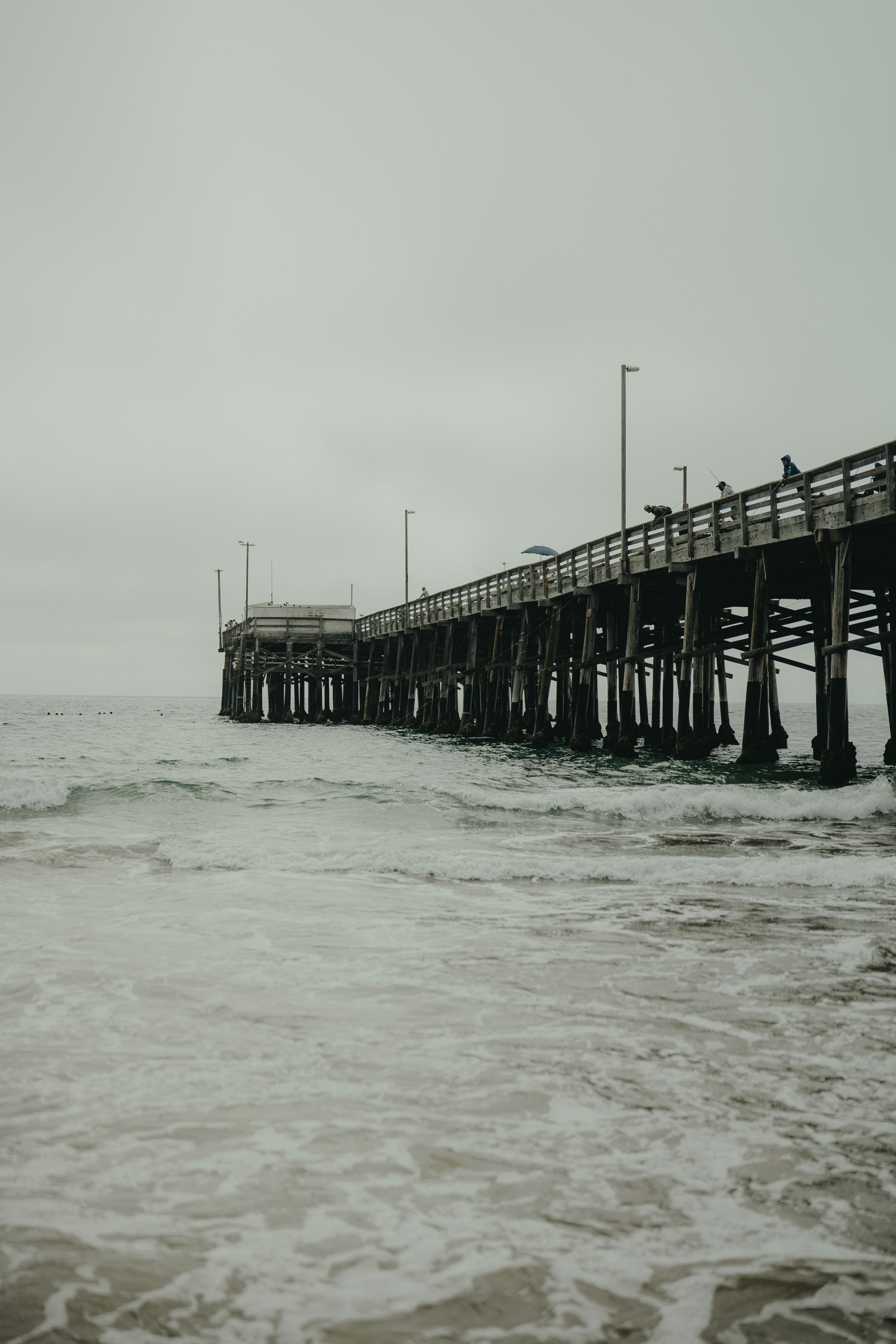 Photo by dimadallacqua