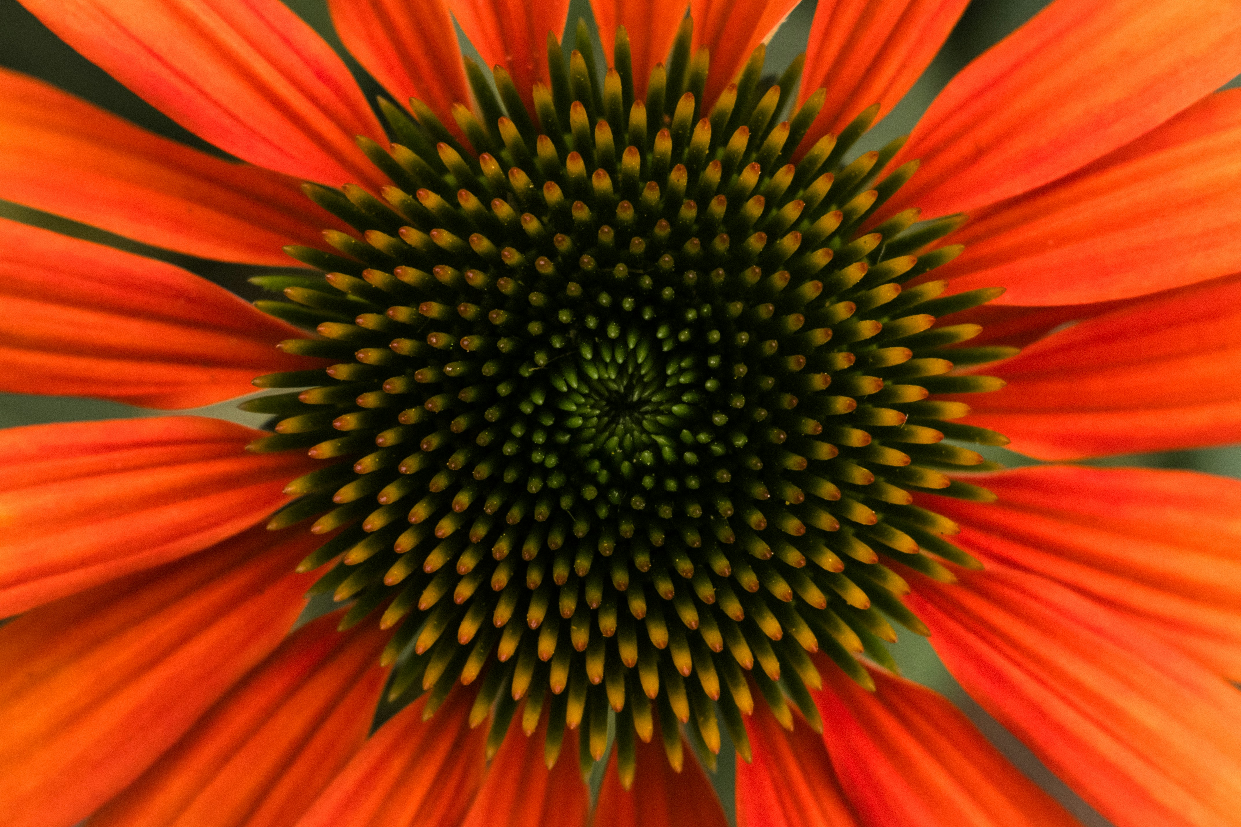 Photo by peterbbryan