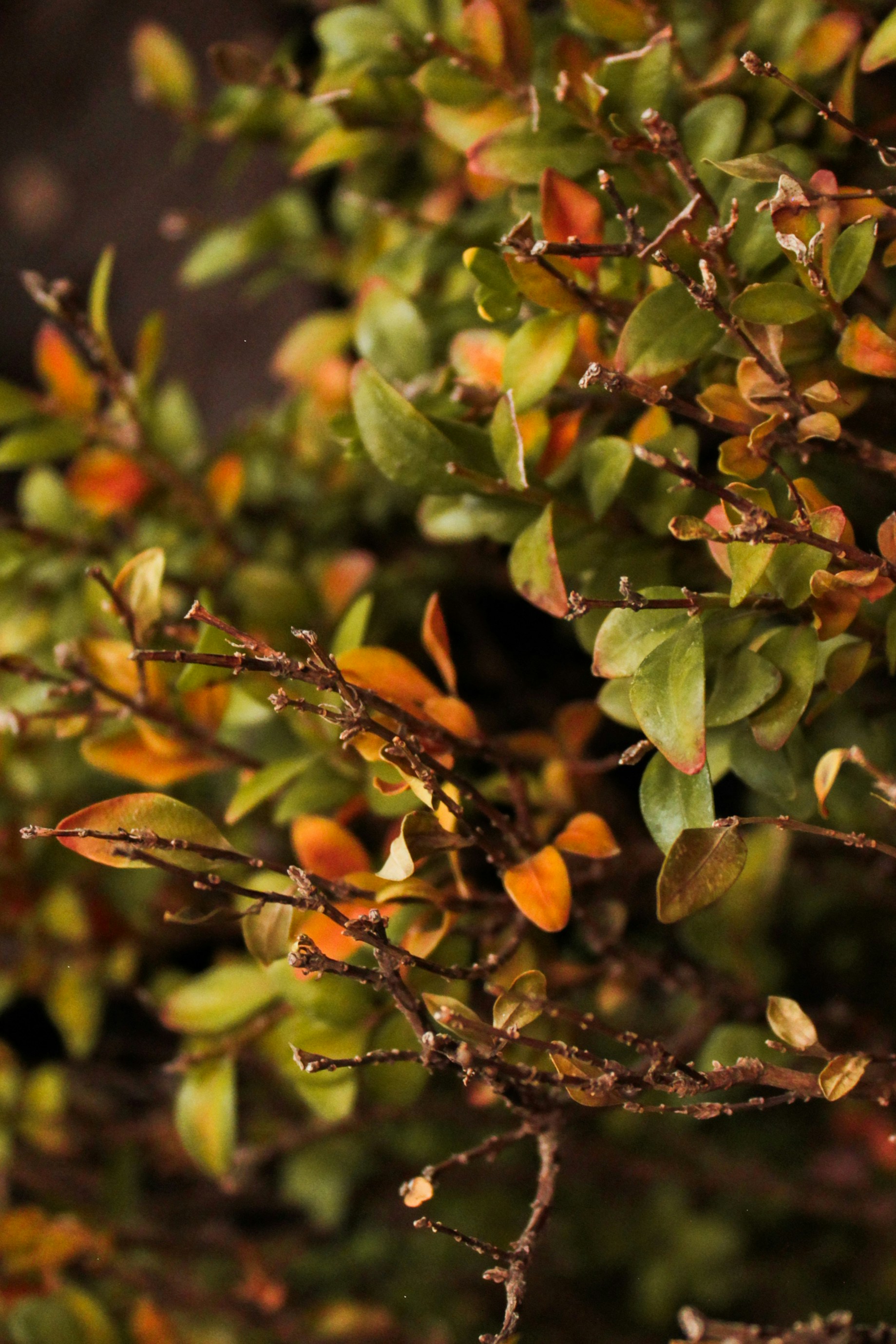 Photo by vvehkalahti