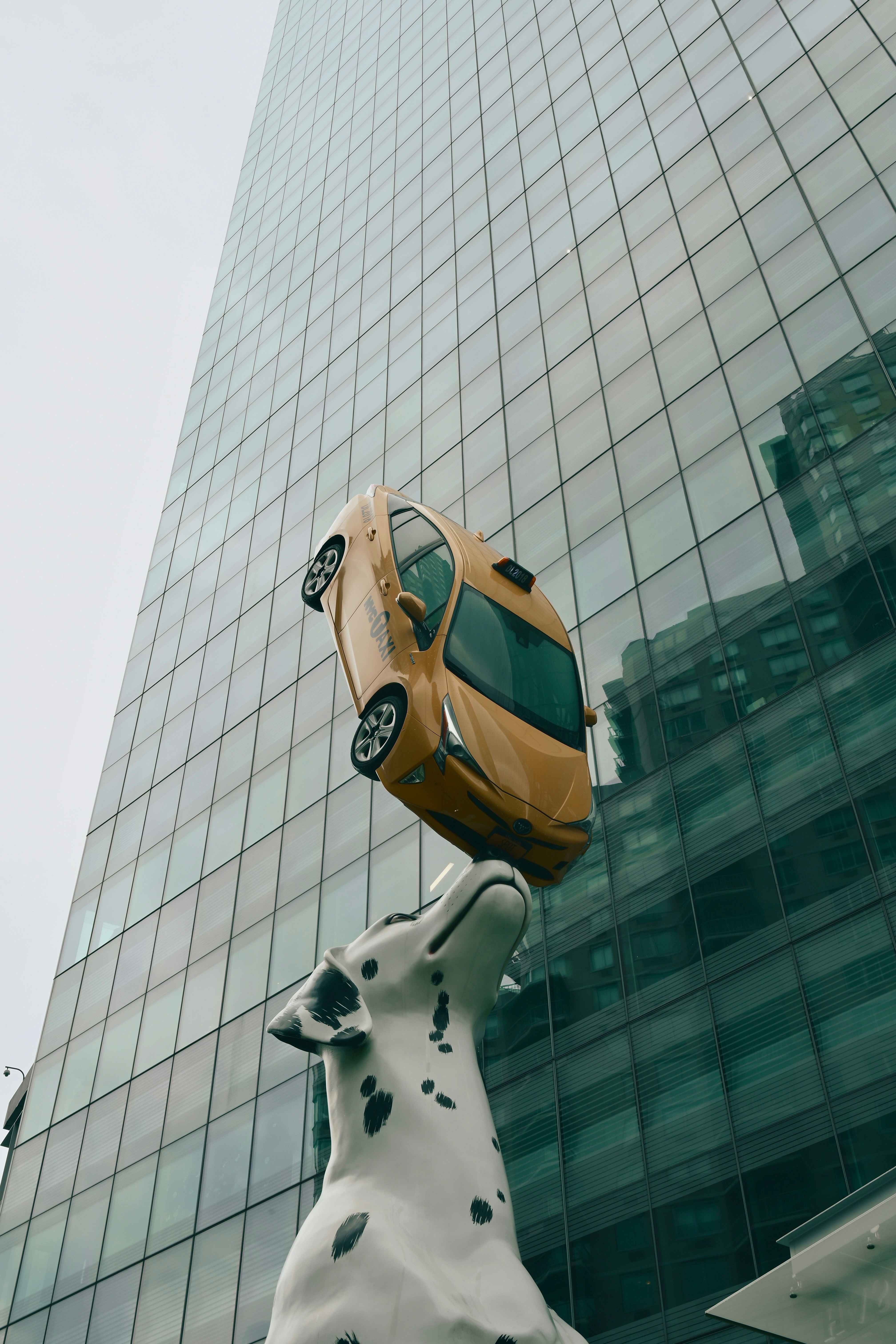 Dalmatian sculpture balancing taxi in front of glass building