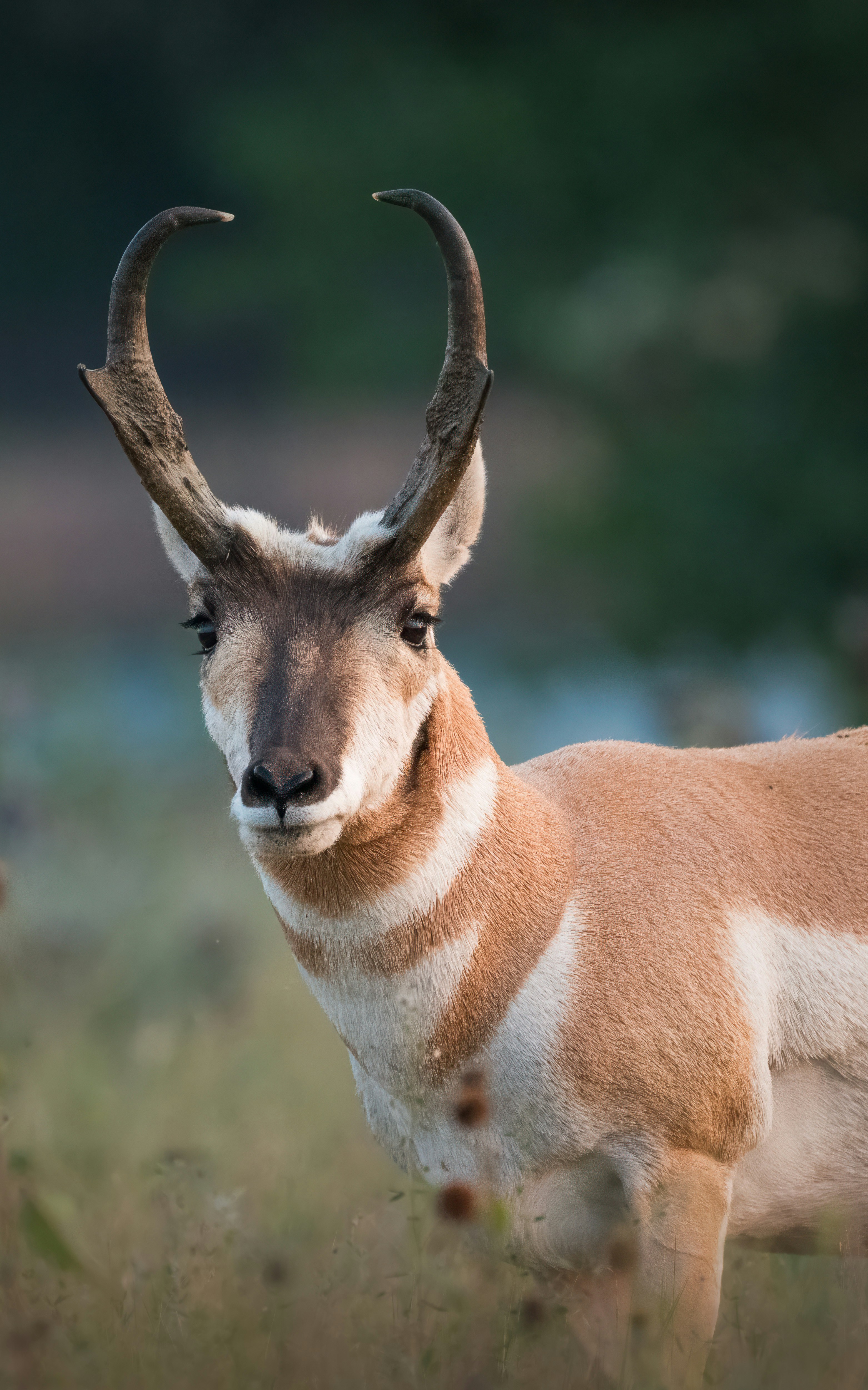 Photo by rob_bird_photography