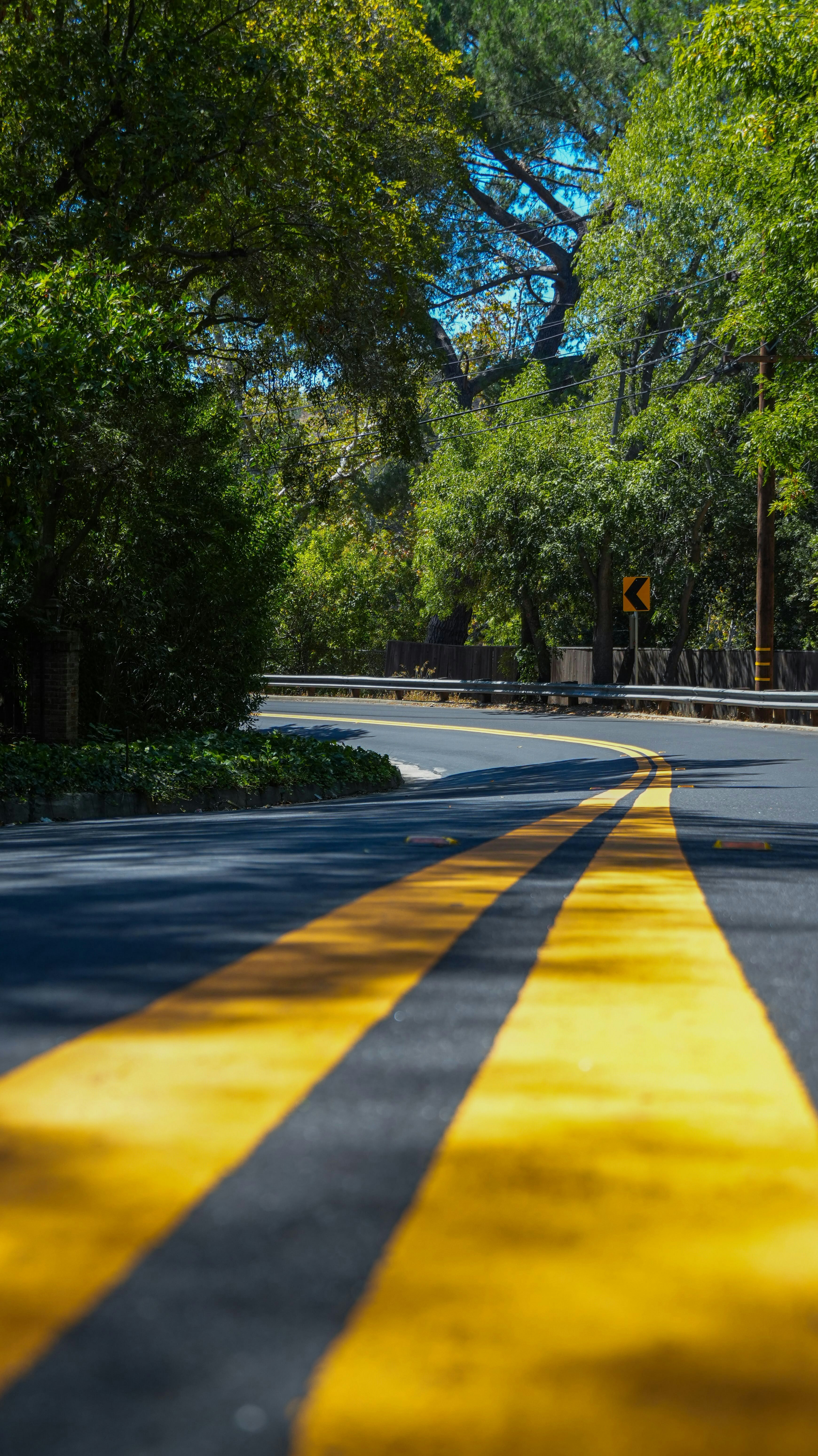 A winding road with double yellow lines through trees