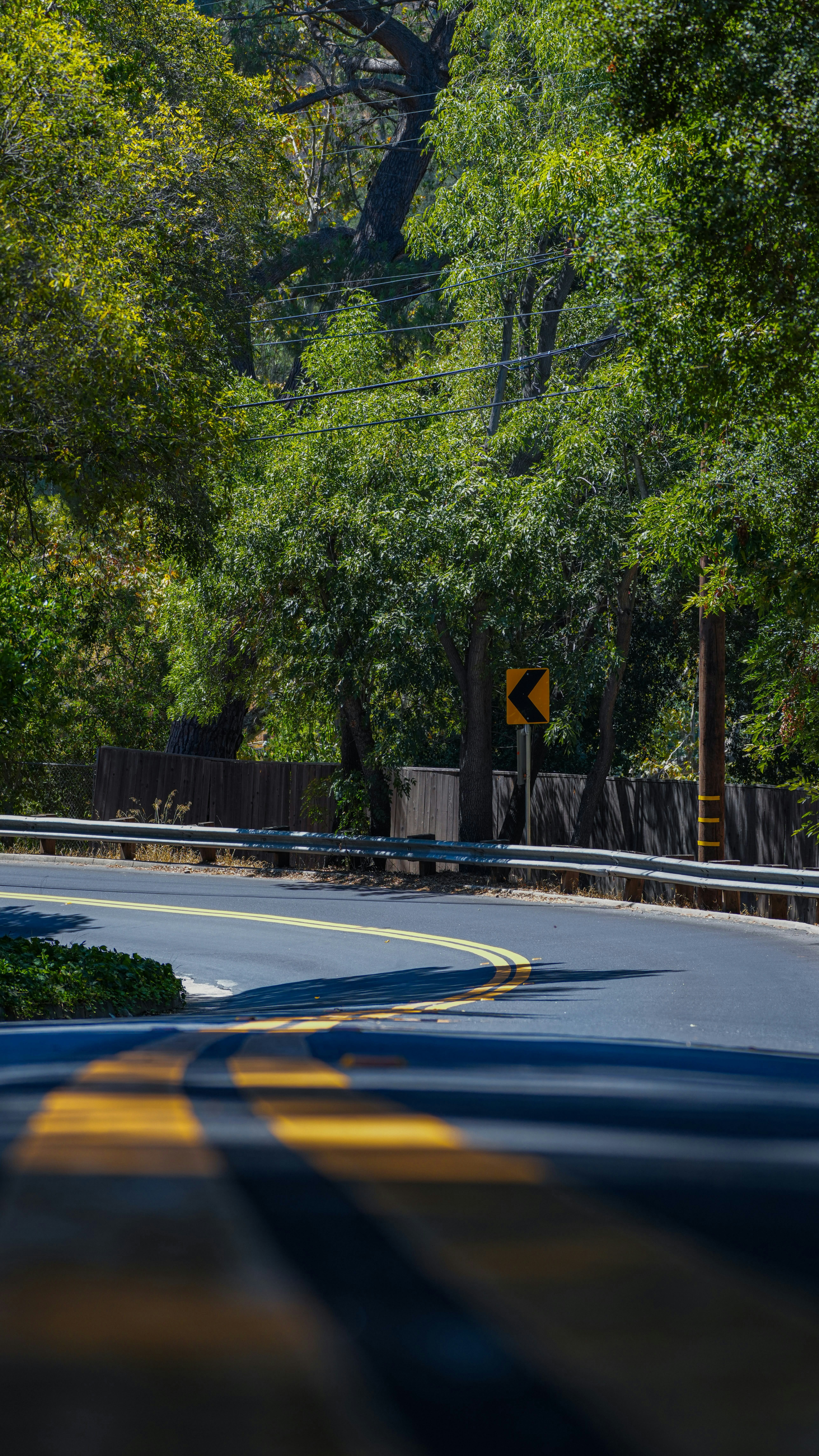 A winding road with yellow double lines and trees.