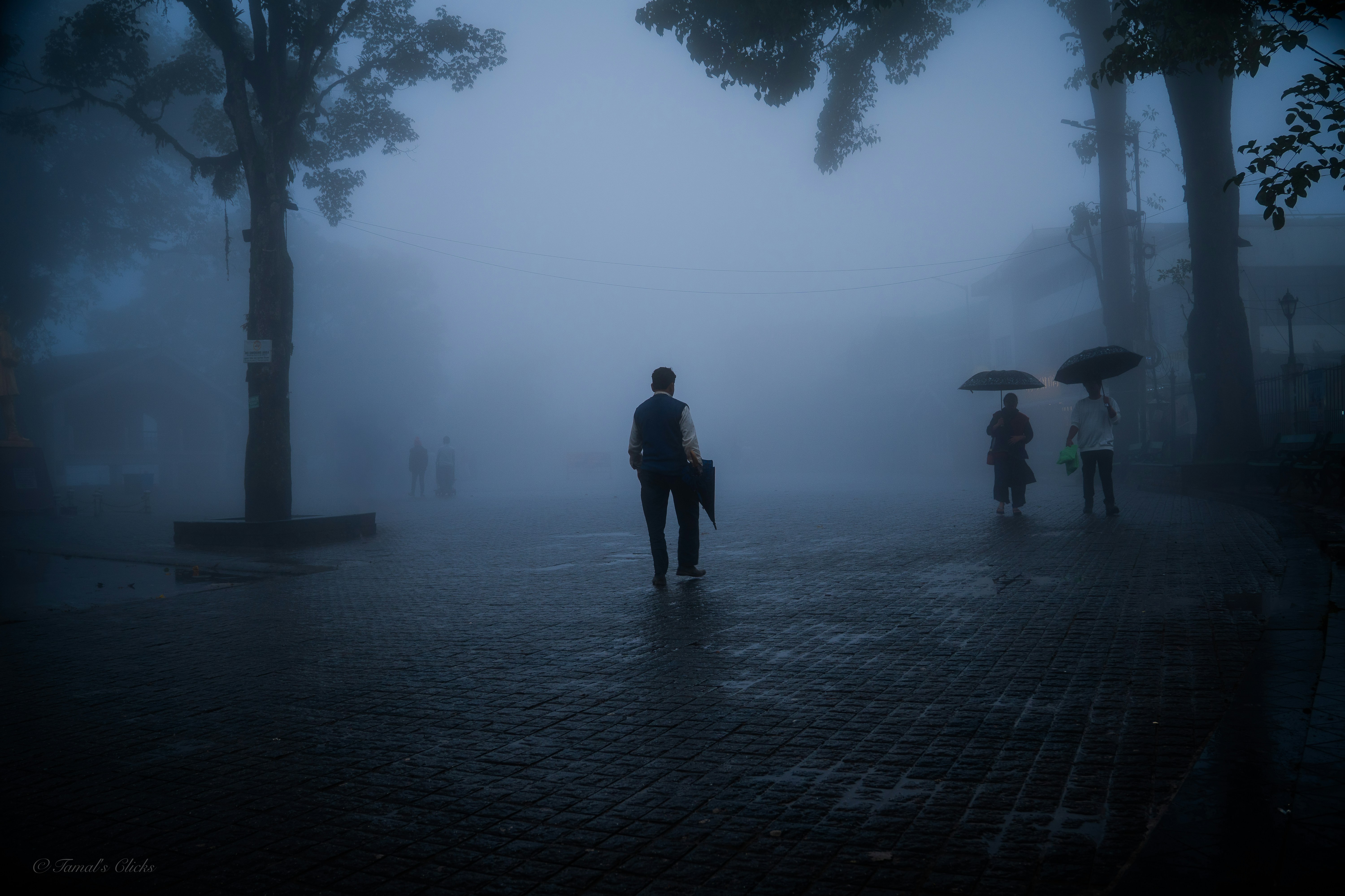 Photo by tamalunplash100