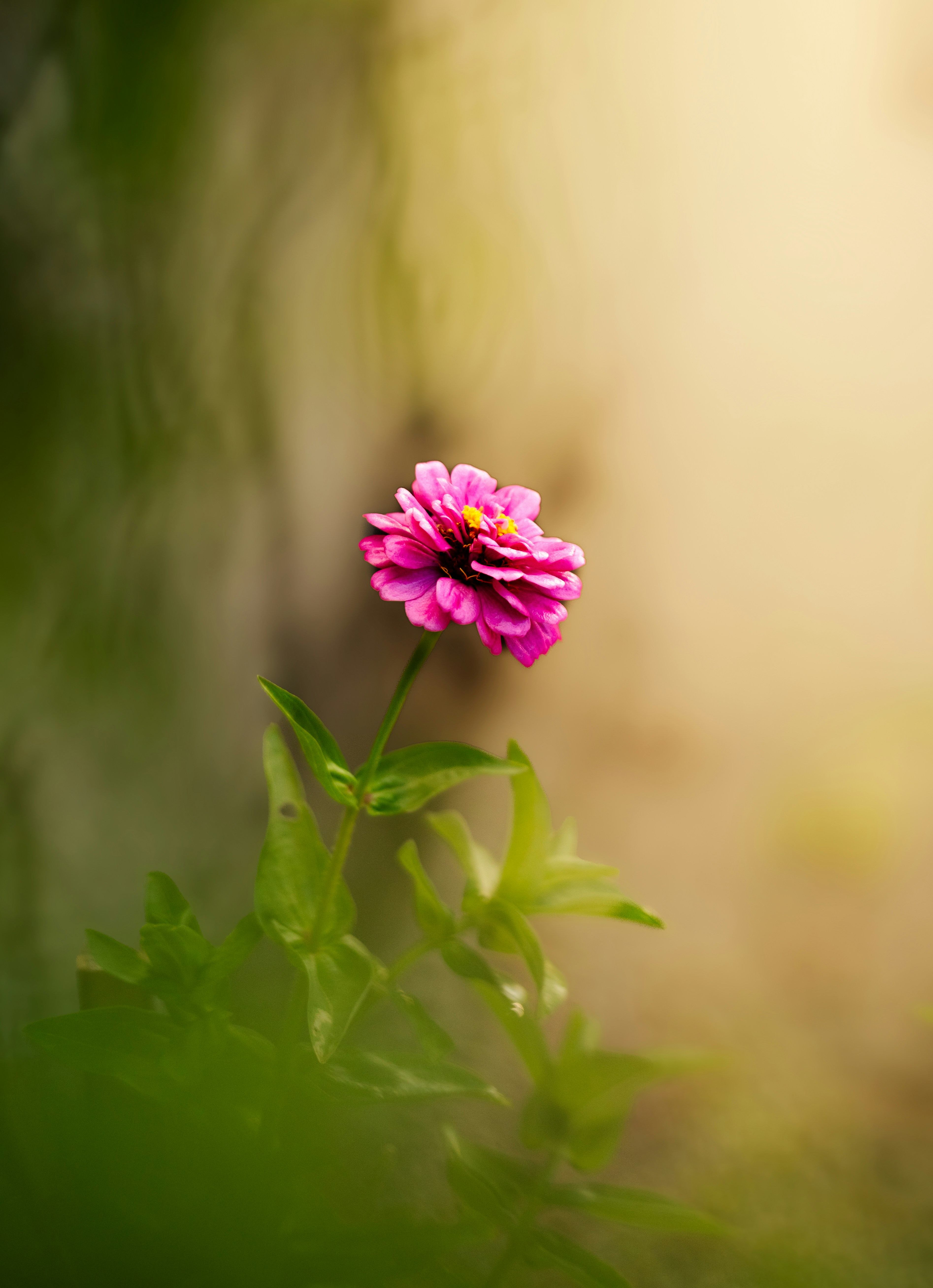 Photo by ahmed_fotografia