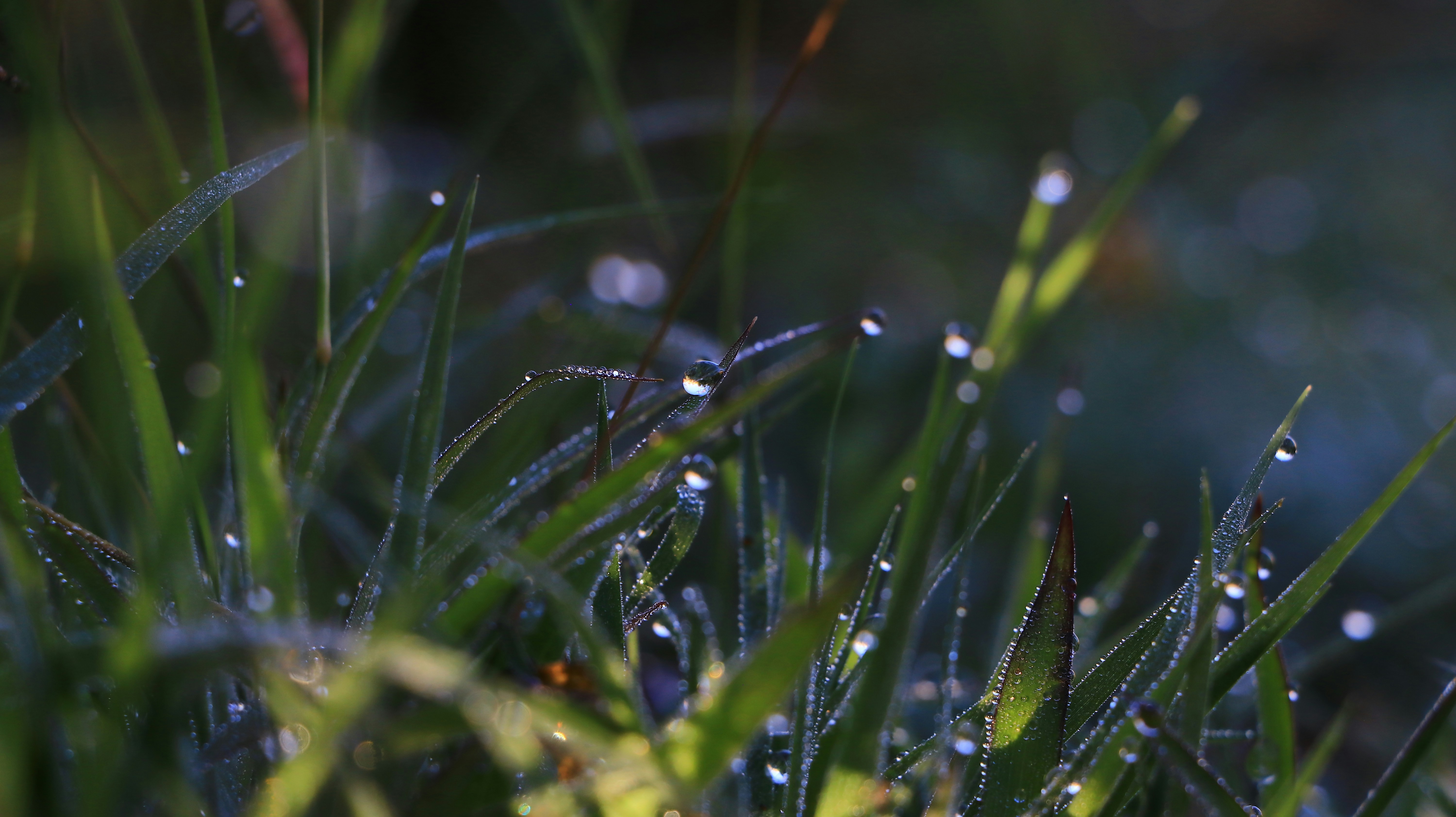 Photo by jack_harbieh