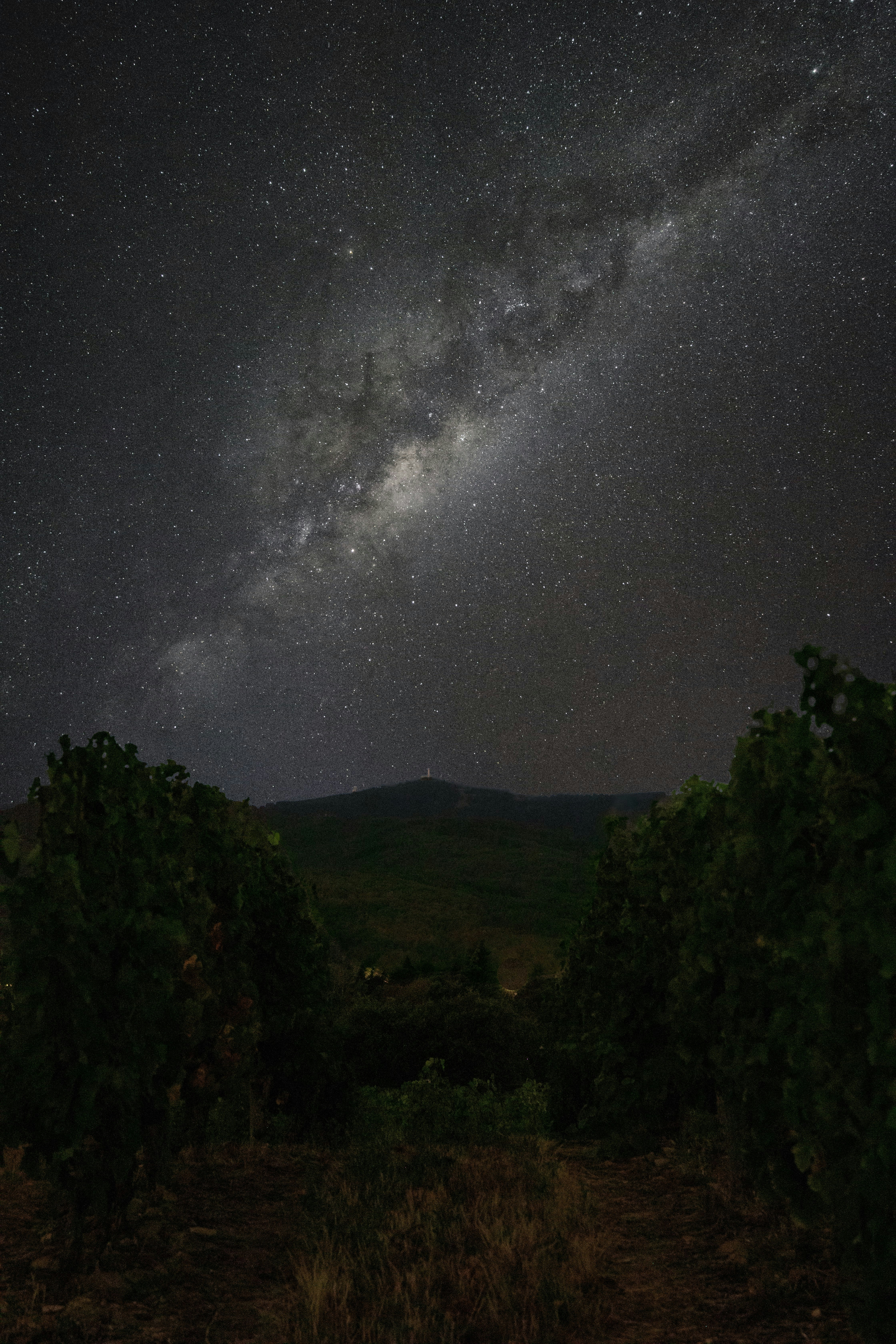 The milky way galaxy arches over a dark landscape.