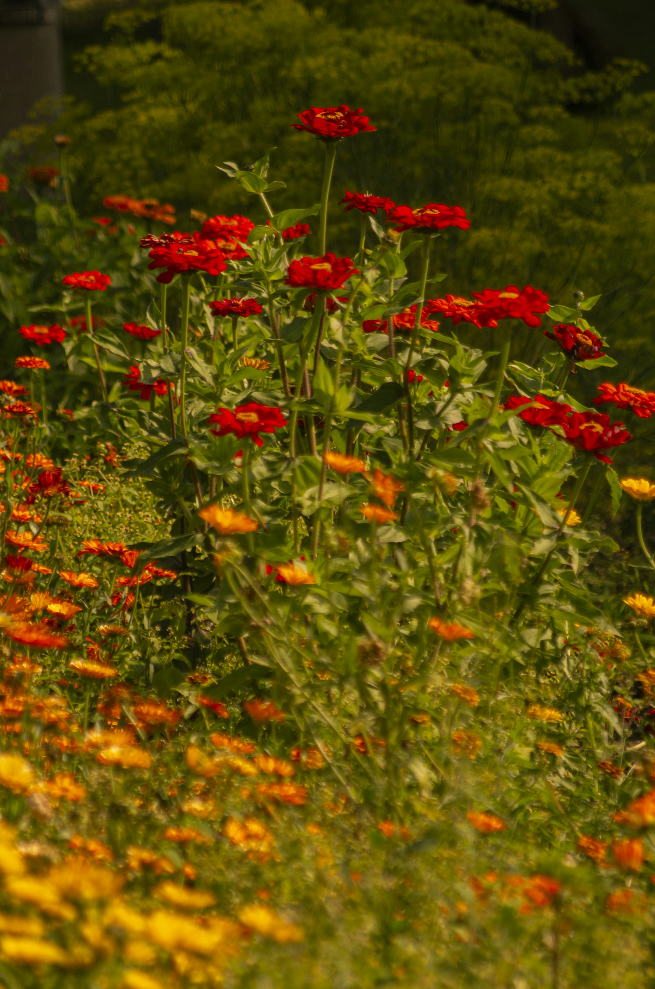 Photo by inga_images