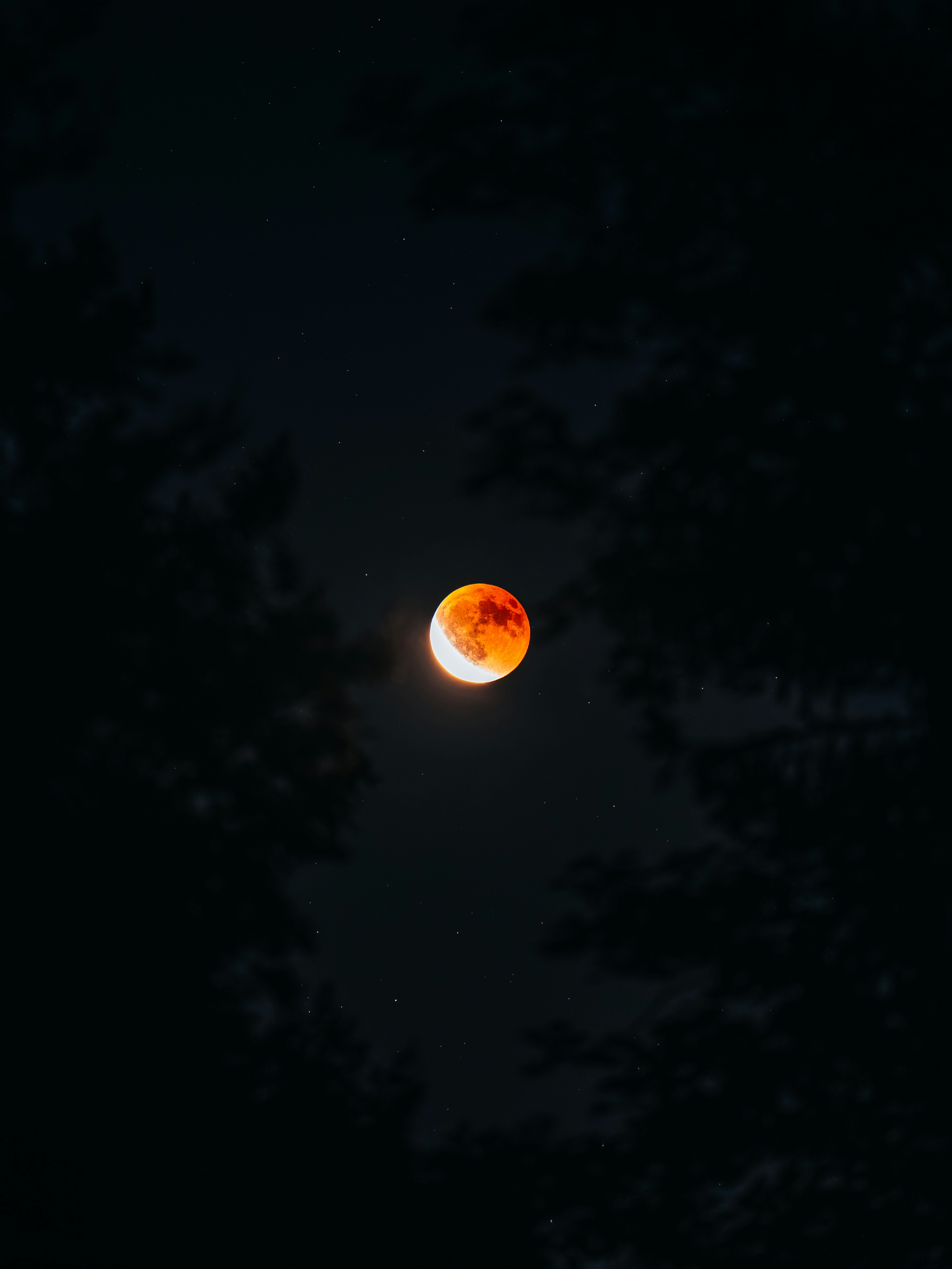 Blood moon glowing in a dark, starry sky.