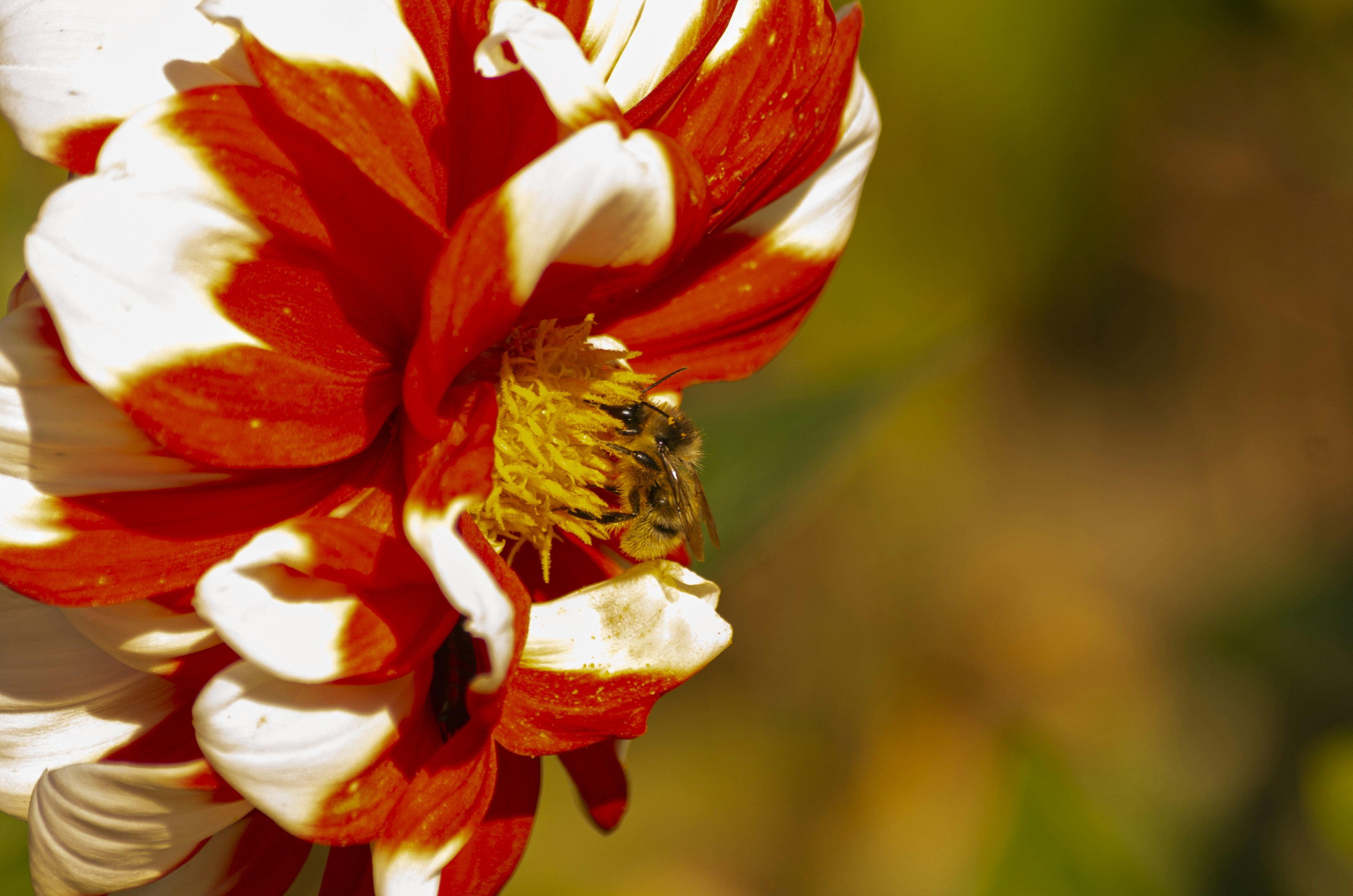 Photo by inga_images