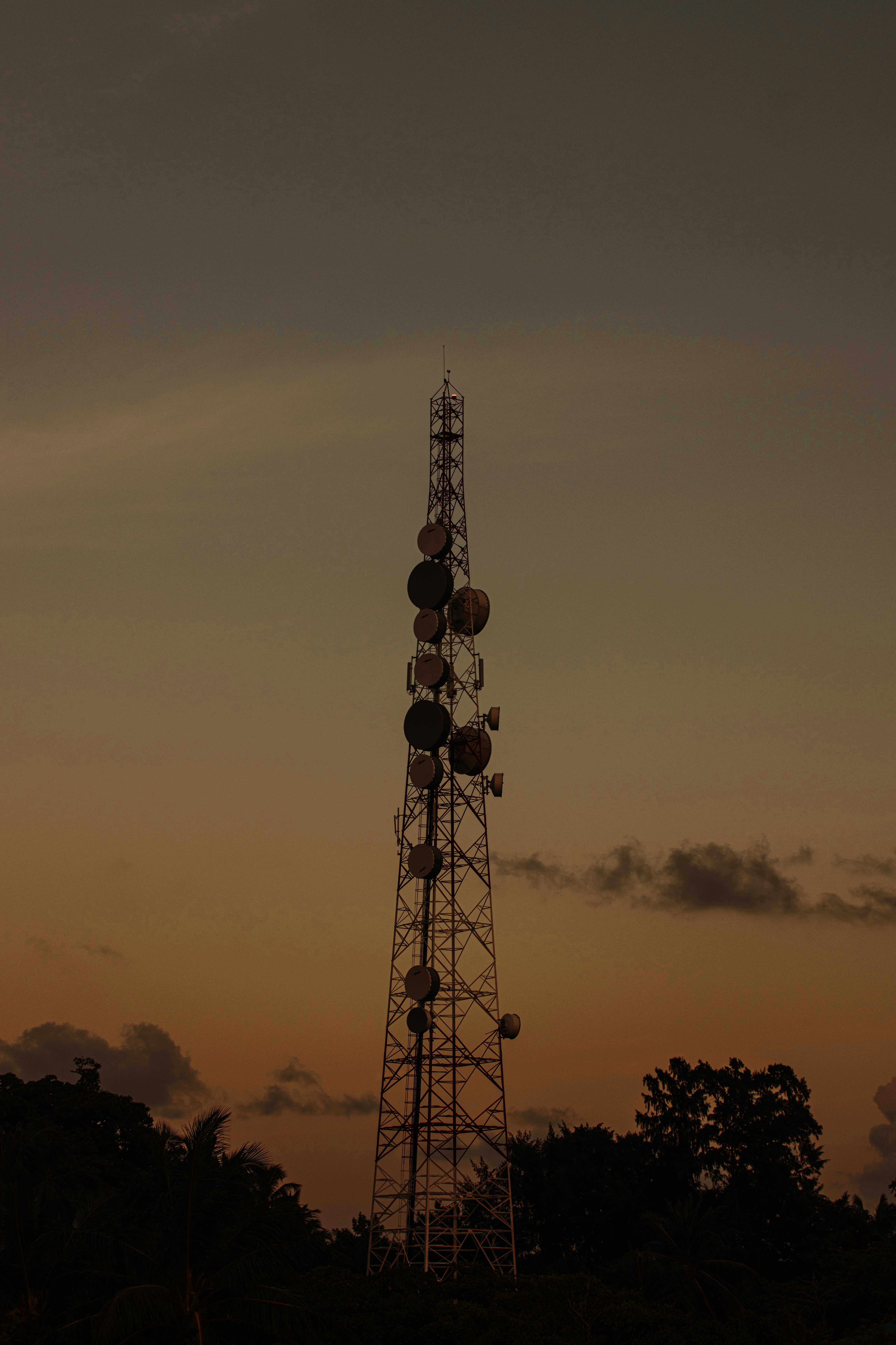 Photo by maahidphotos