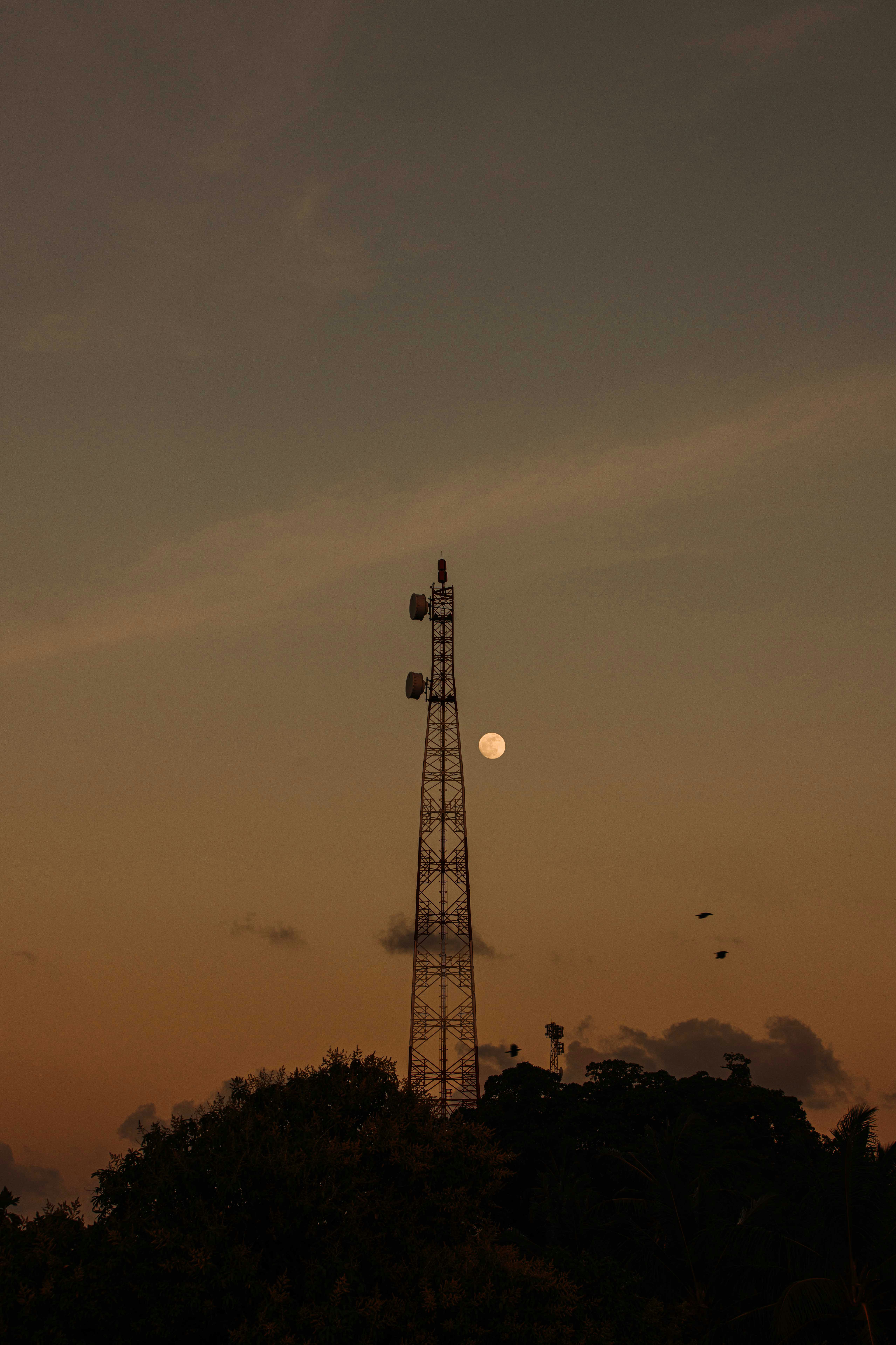 Cell tower silhouetted against a hazy sunset sky