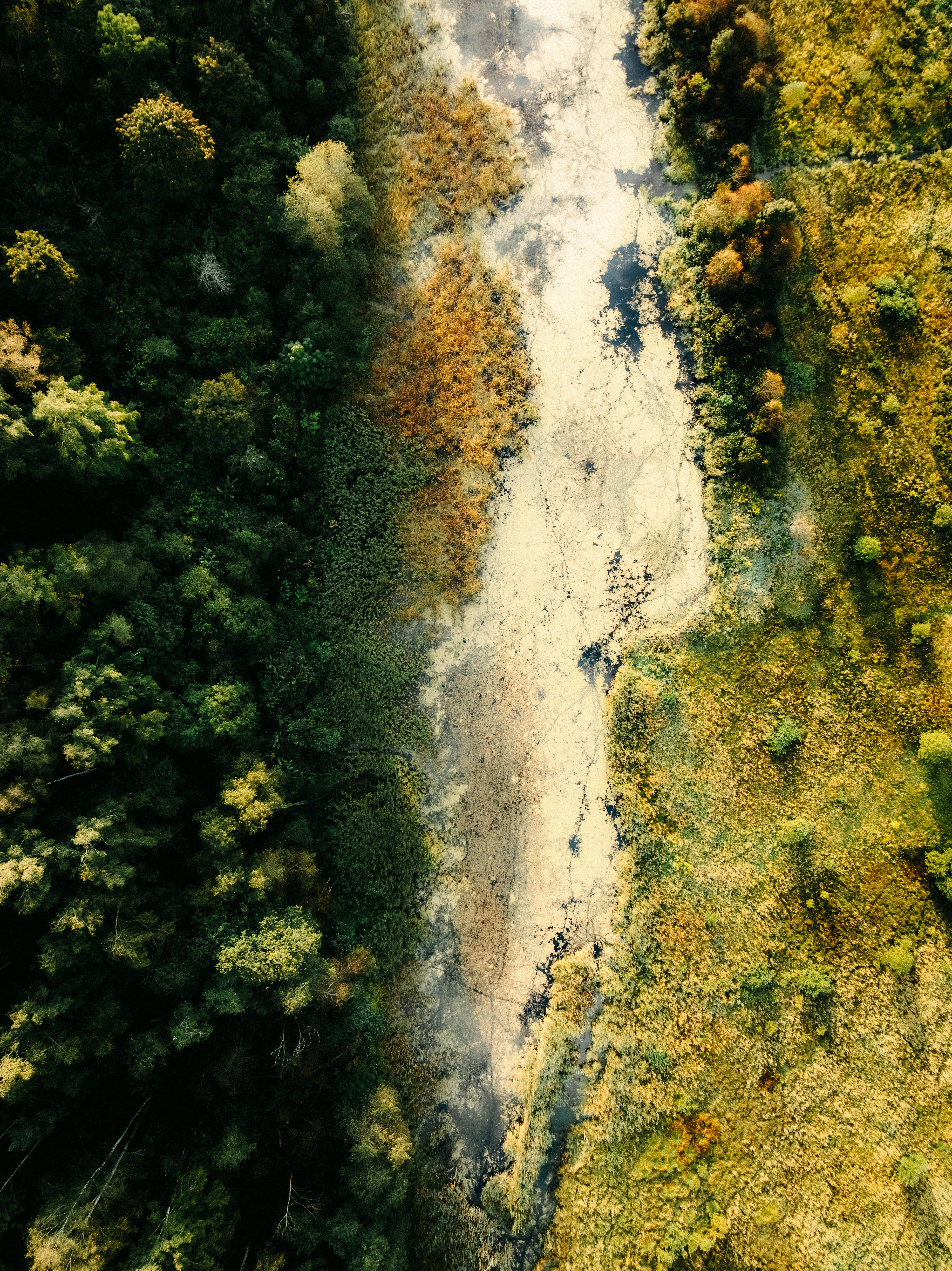 Photo by kristapsungurs