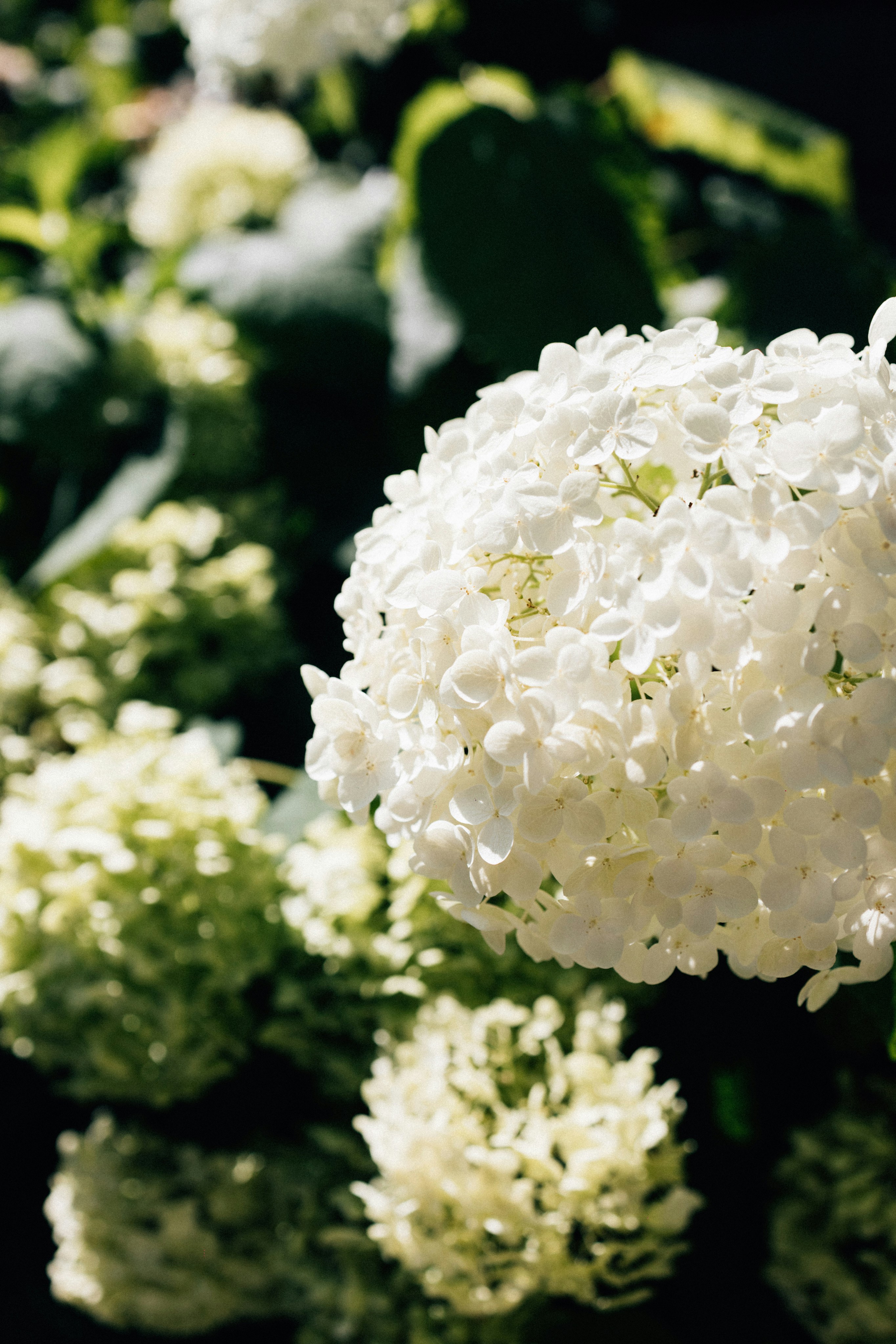 Photo by tsuyoshikozu