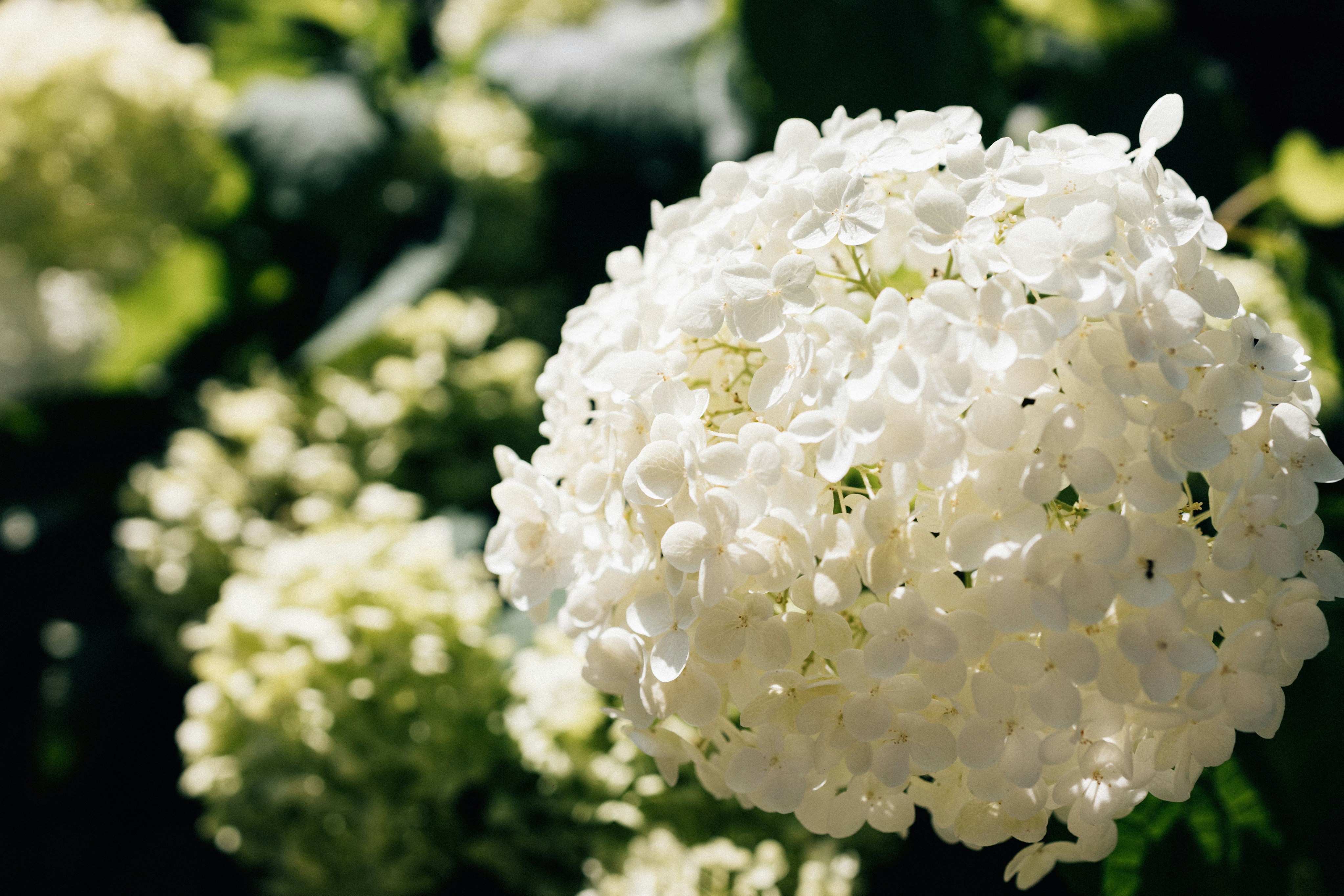 Photo by tsuyoshikozu