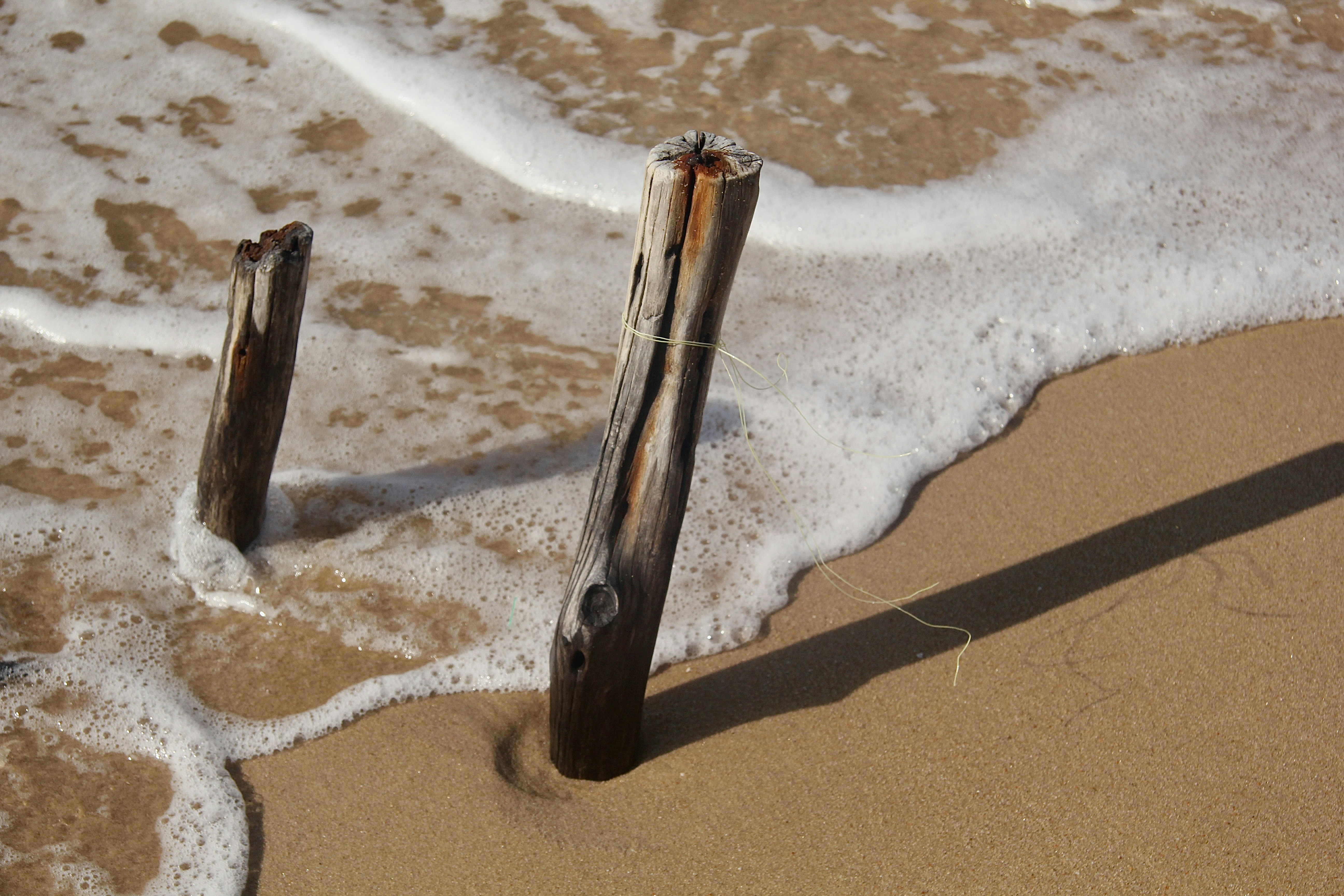 Two weathered wooden posts stand in shallow ocean water.