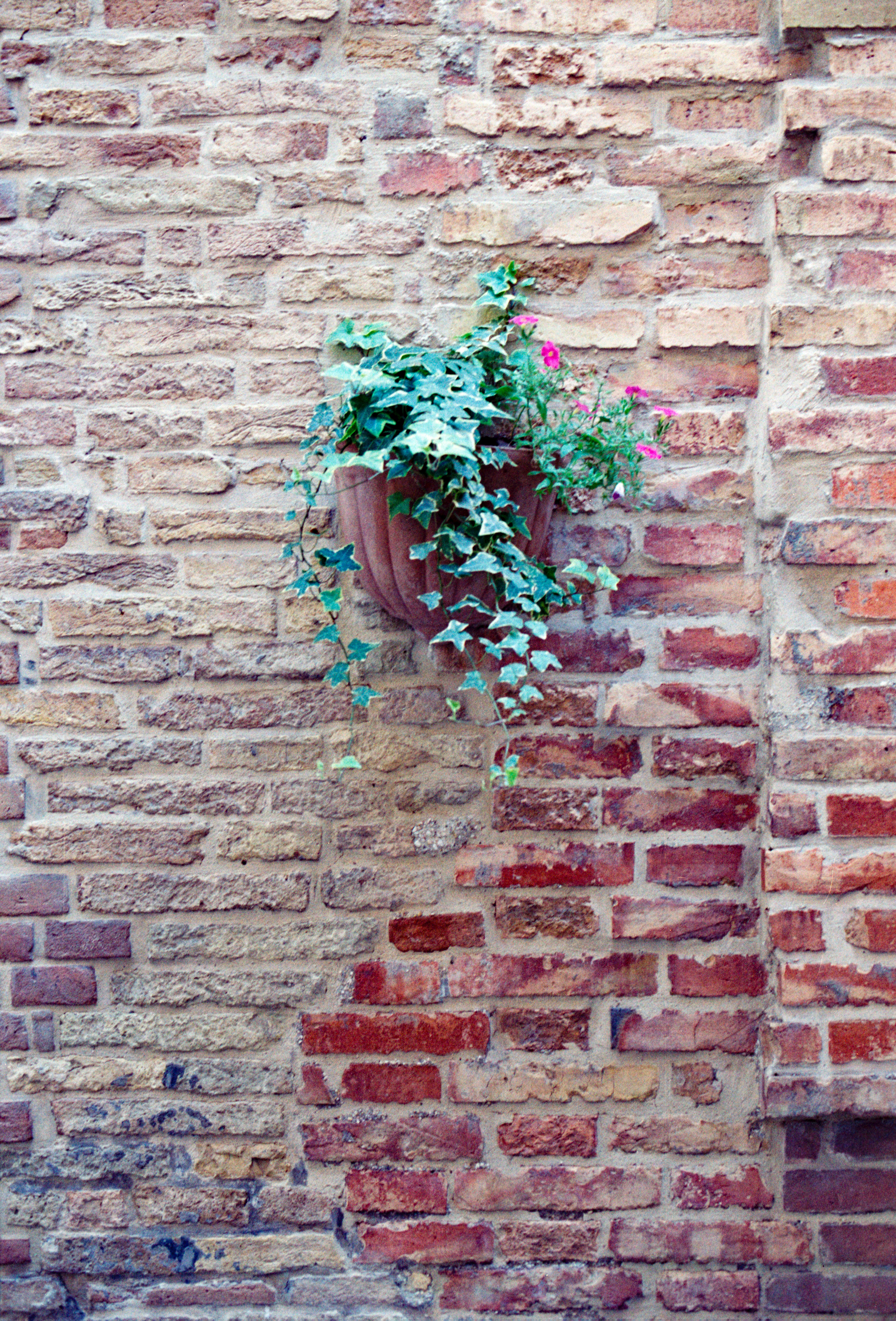 Photo by chrisvomradio