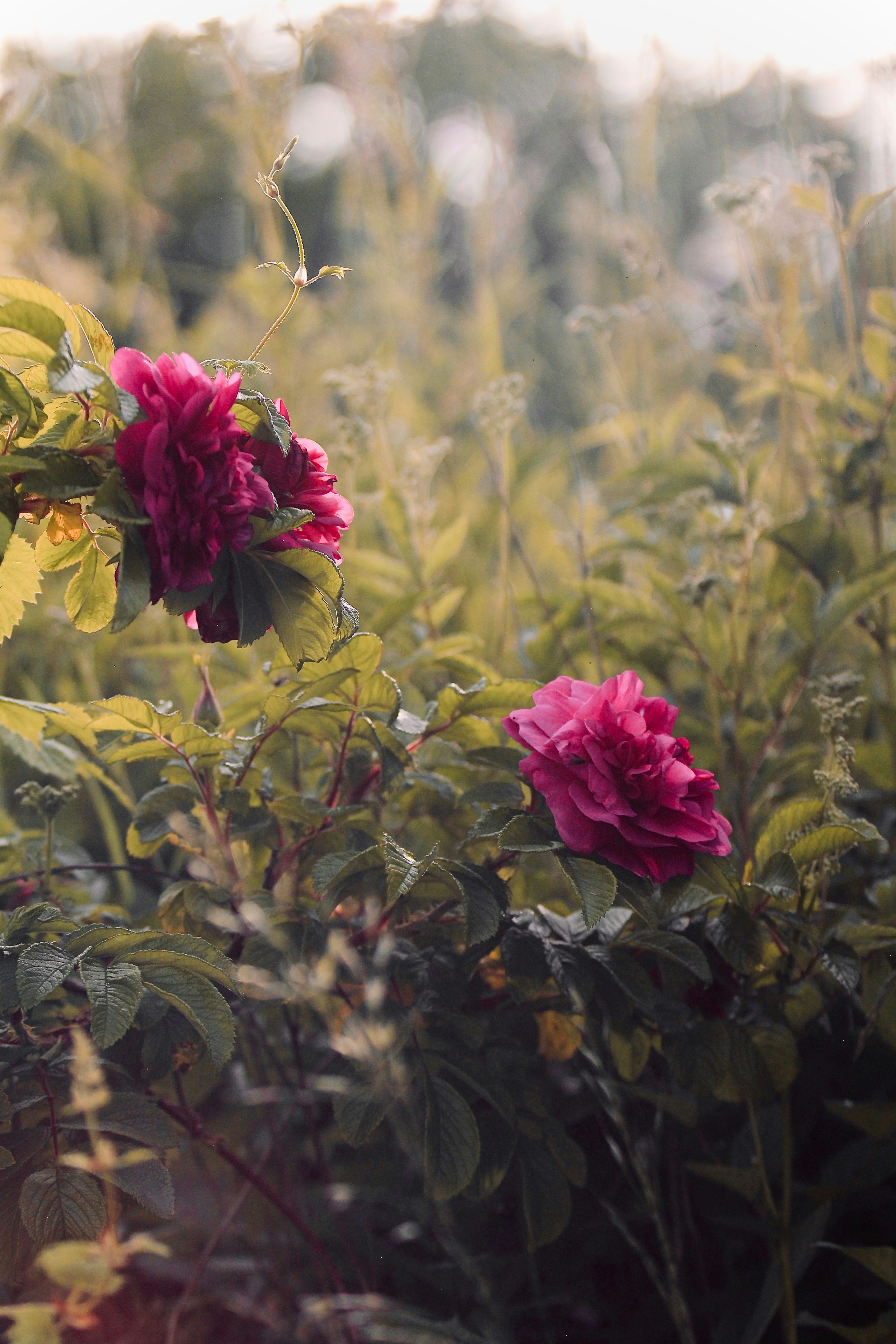 Photo by kristinokarlsen