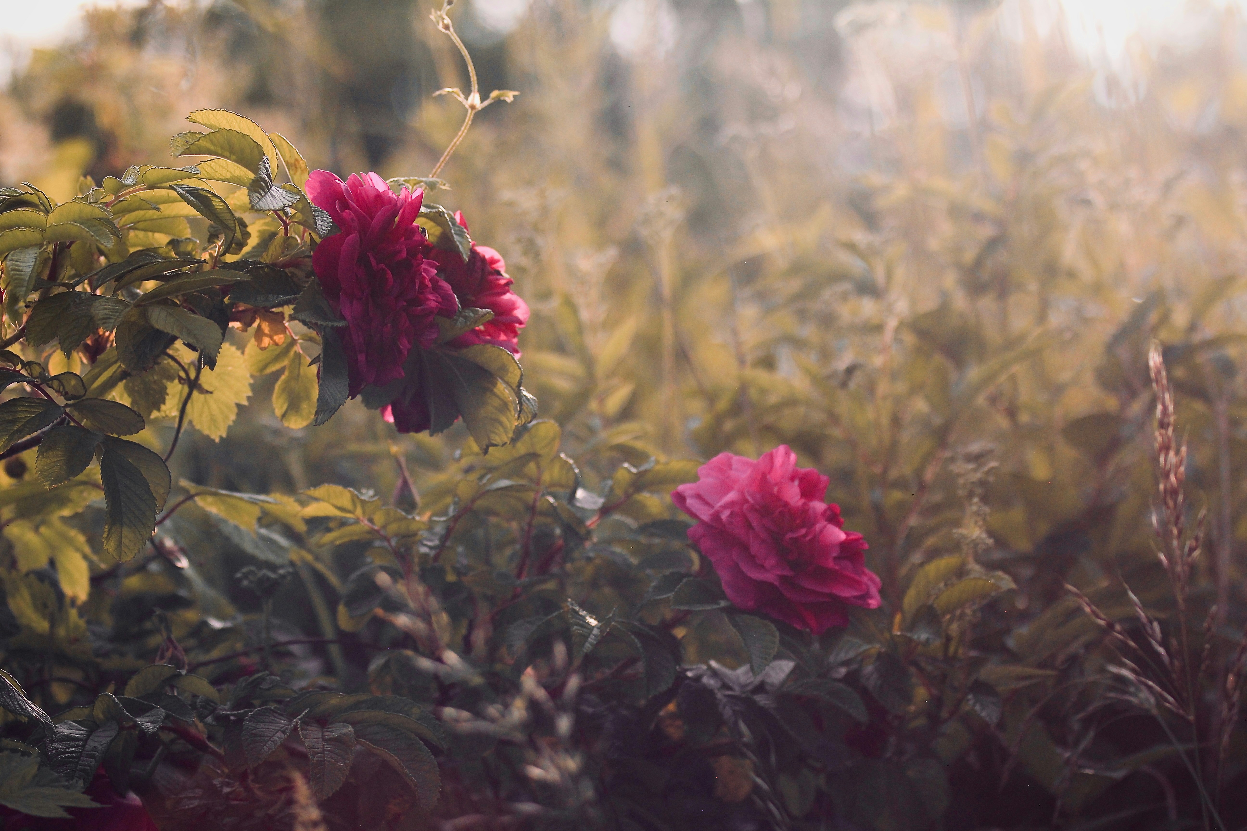 Photo by kristinokarlsen