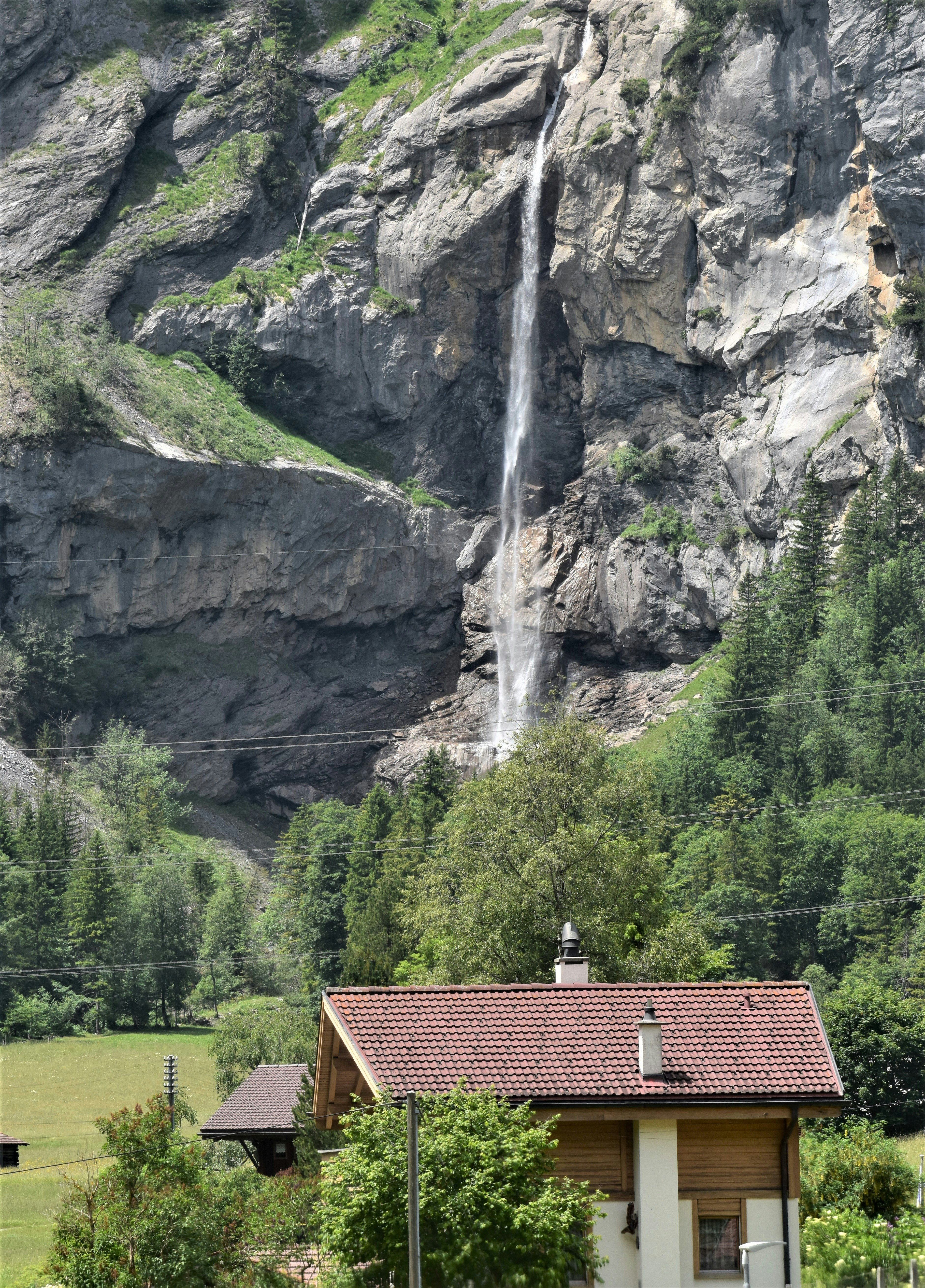 Three reasons Saanen belongs on your shortlist.