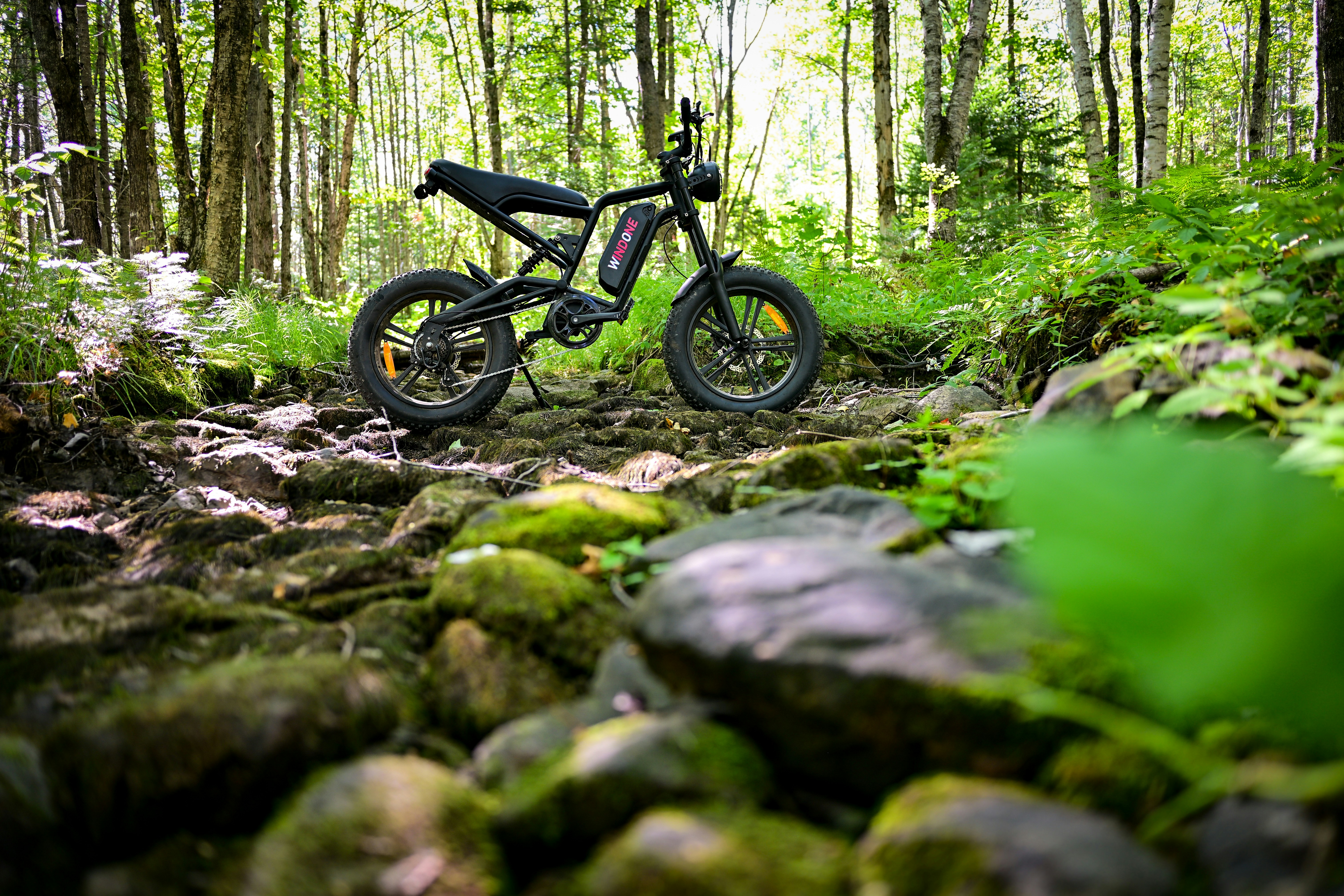 Photo by windoneofficial