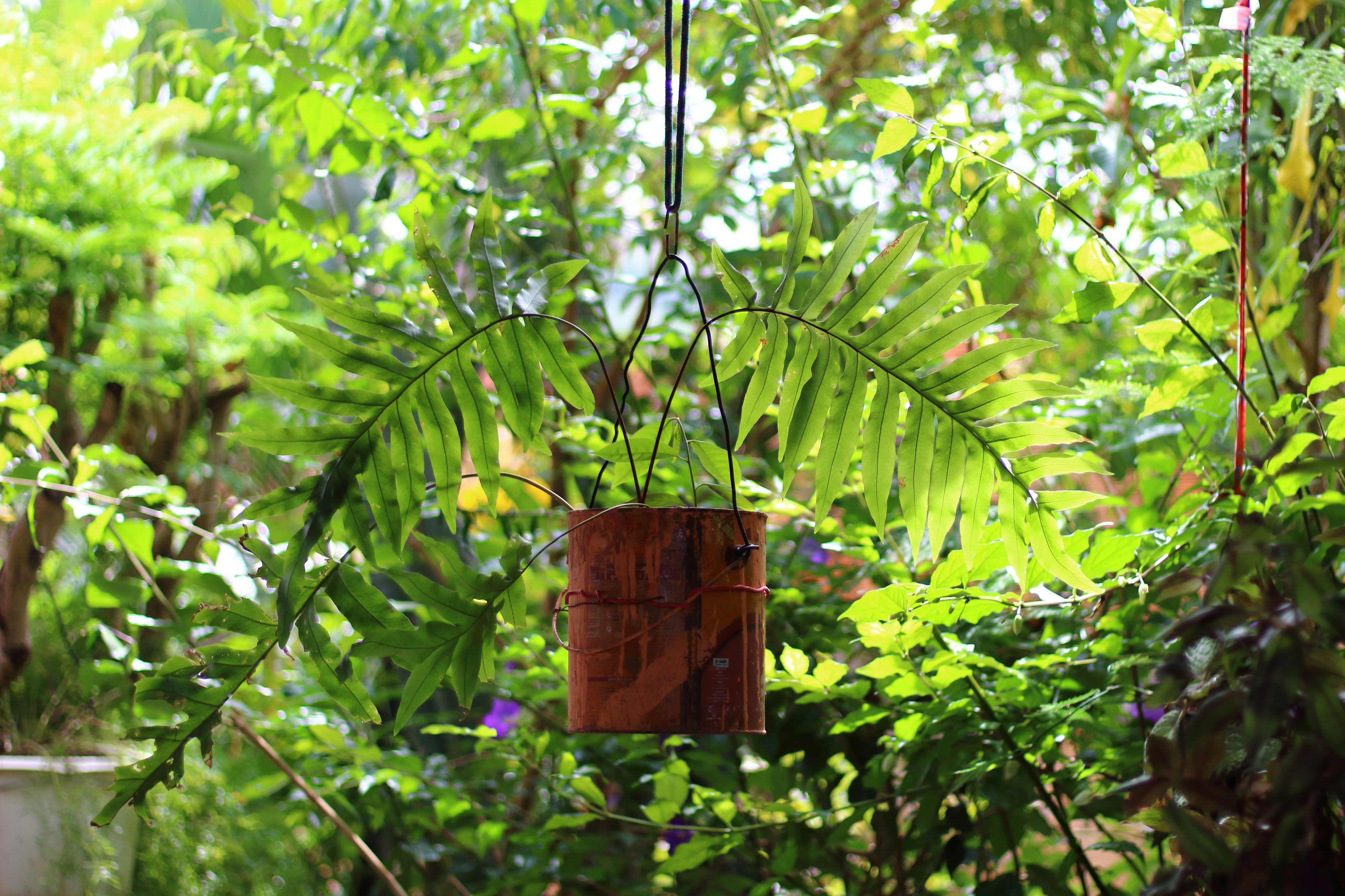 handmade wooden hanging planter - diy hanging planter indoor