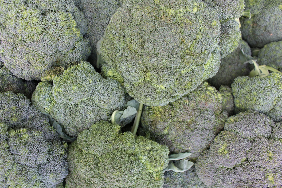 Can I Still Cook Broccoli When It Turns Yellow