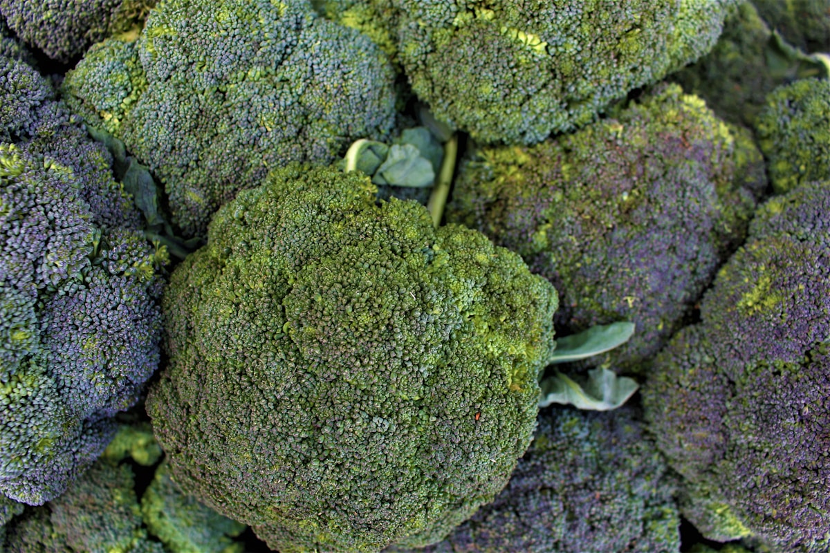 Is It Safe to Eat Broccoli When It Turns a Little Yellow?