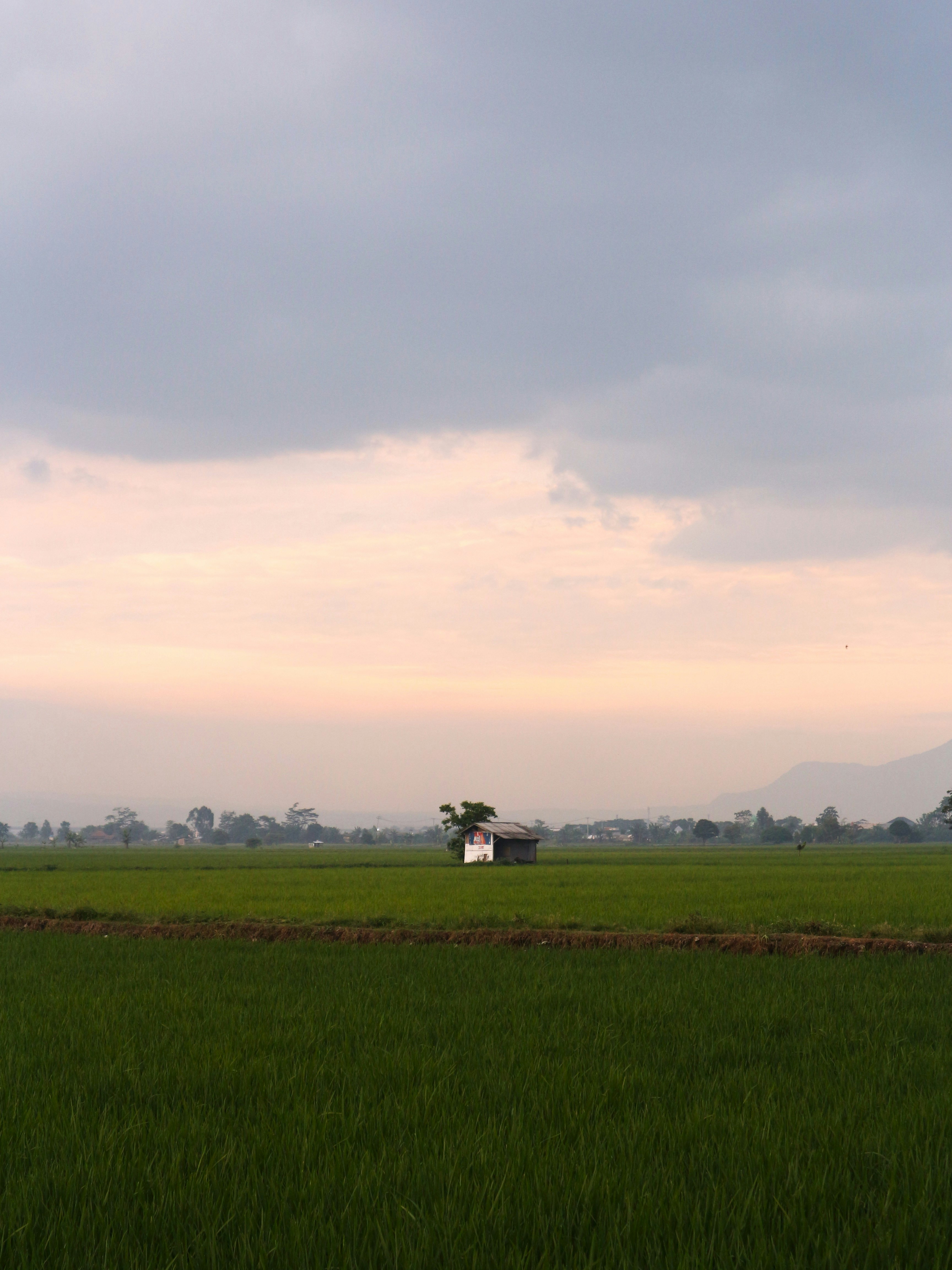 southeast asia landscape, wallpaper, Sejarah ASEAN: Berdirinya, Perkembangan, dan Tantangan 2