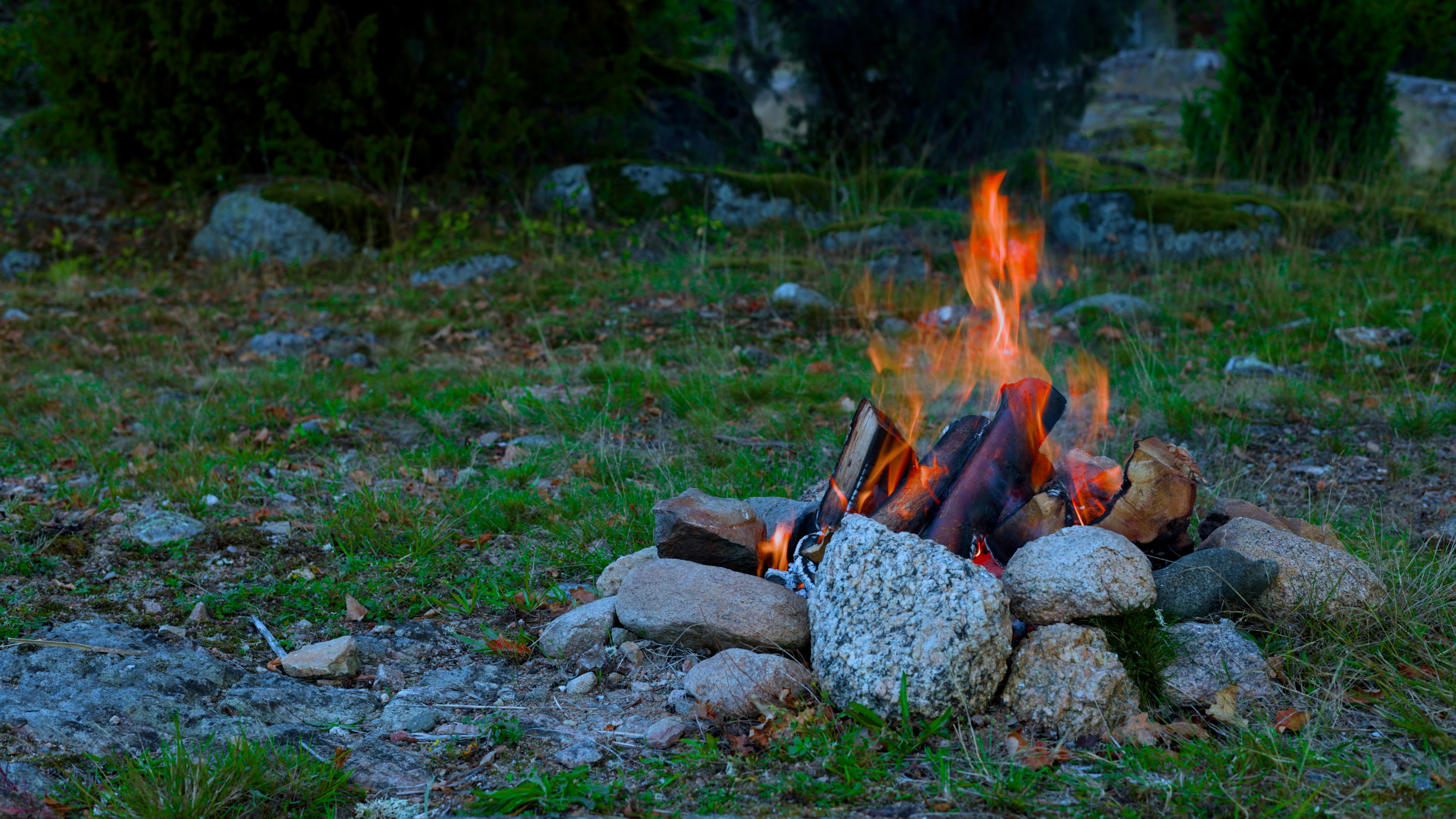 A rustic and moody scene of a campfire glowing in the middle of a dark forest. A perfect shot for outdoor adventure projects, travel inspirations, nature blogs, and camping aesthetics. Watch the full video at the link below. https://www.youtube.com/@Riven_Moss