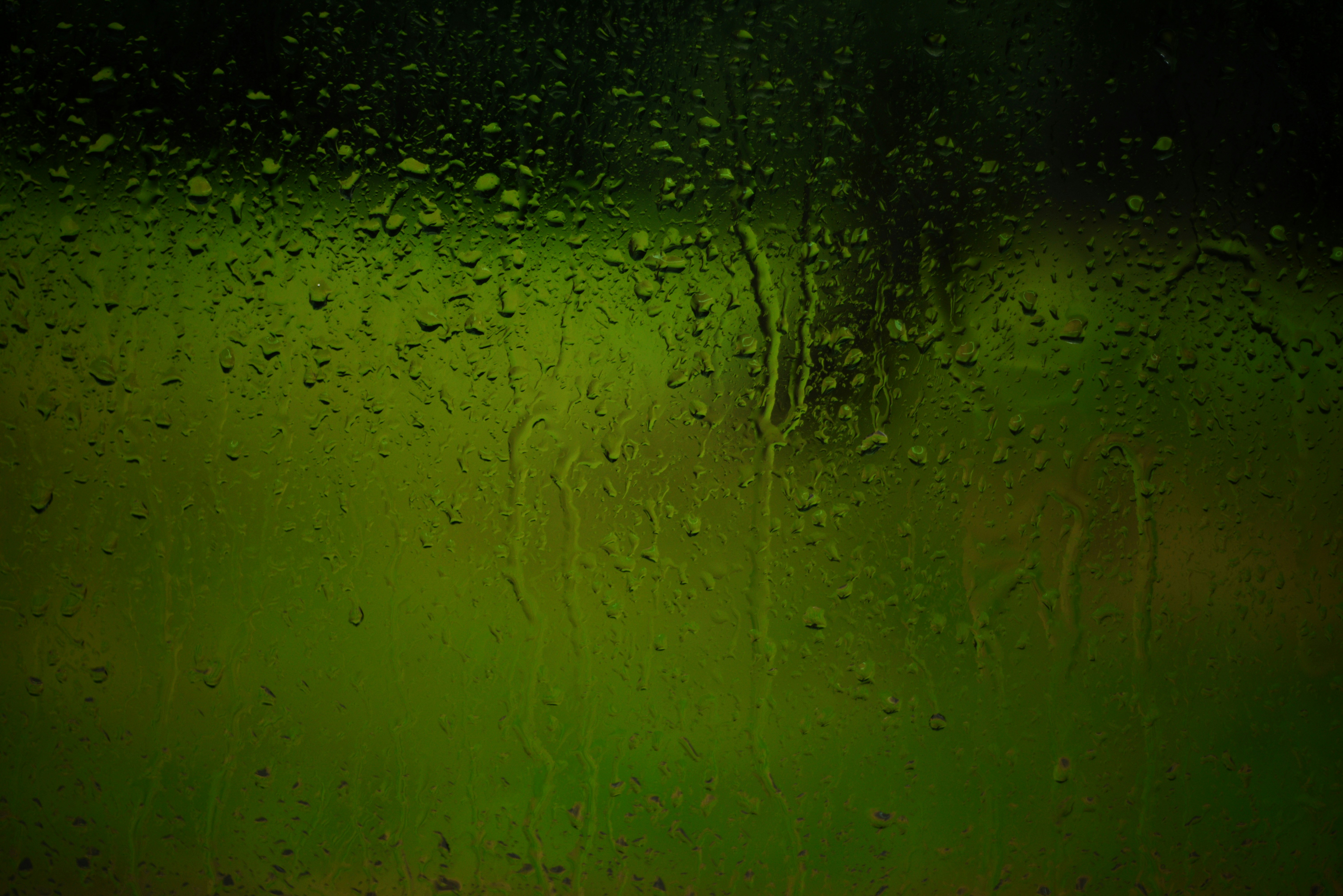 Photo by cherstve_pechivo