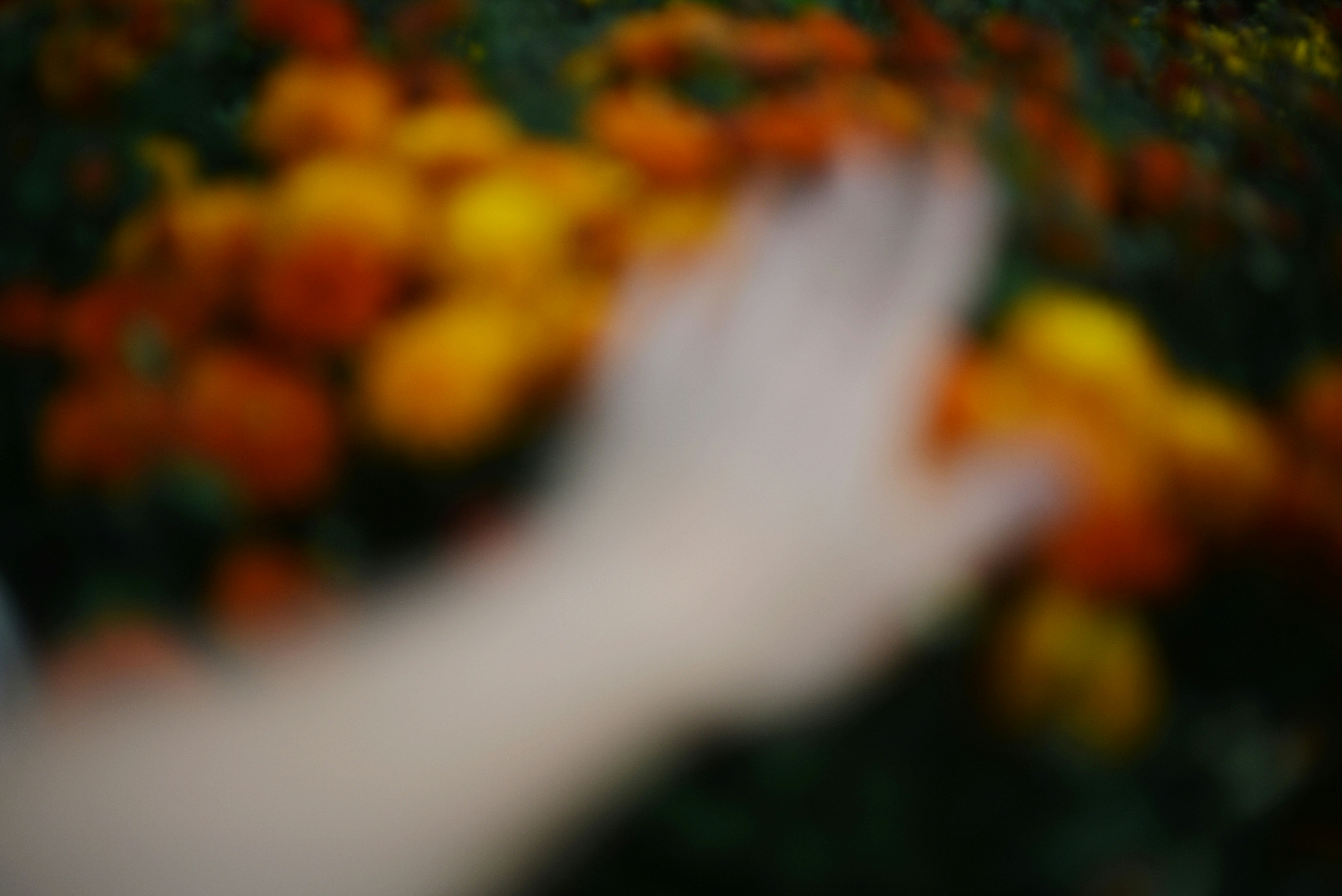 Photo by cherstve_pechivo