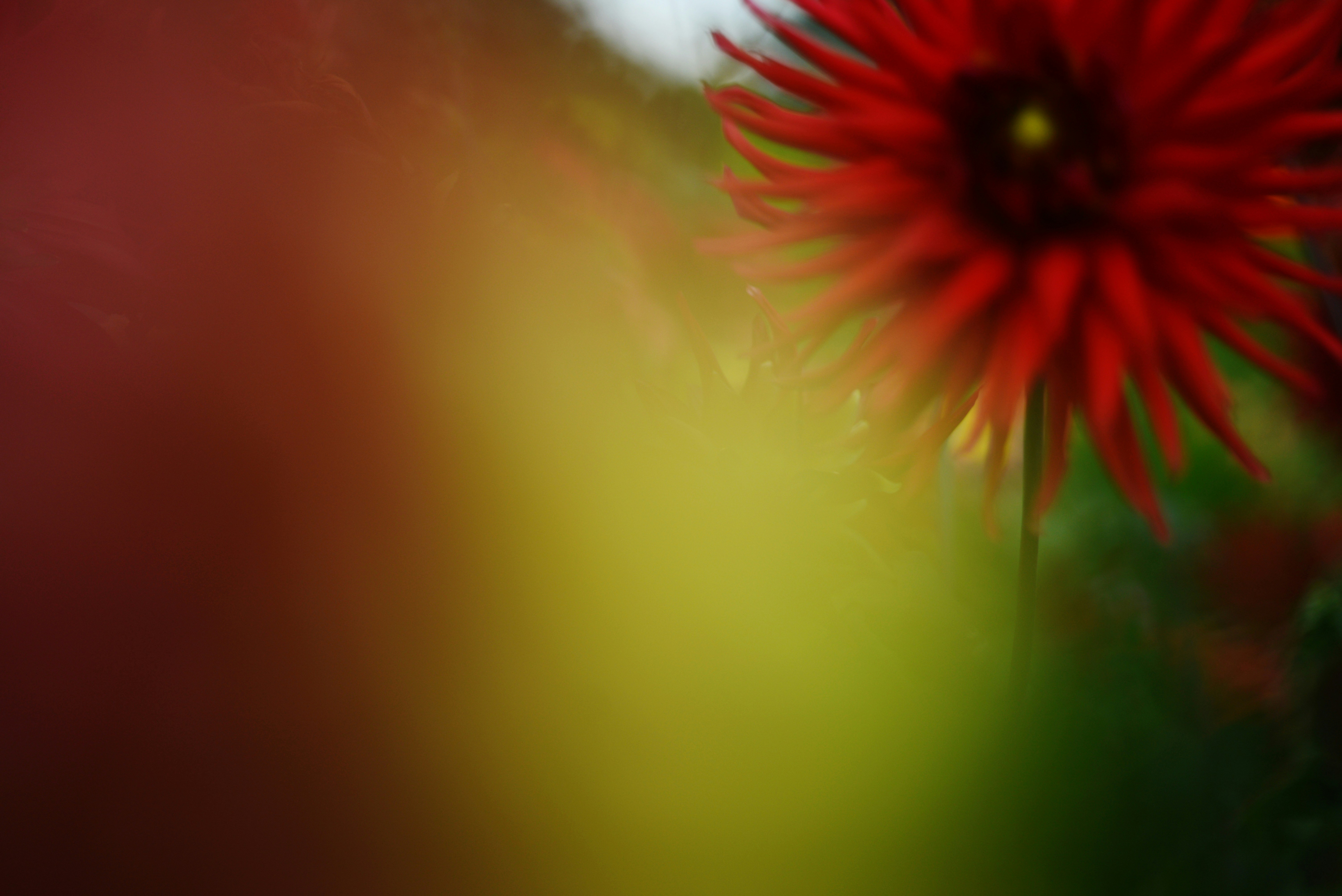 Photo by cherstve_pechivo