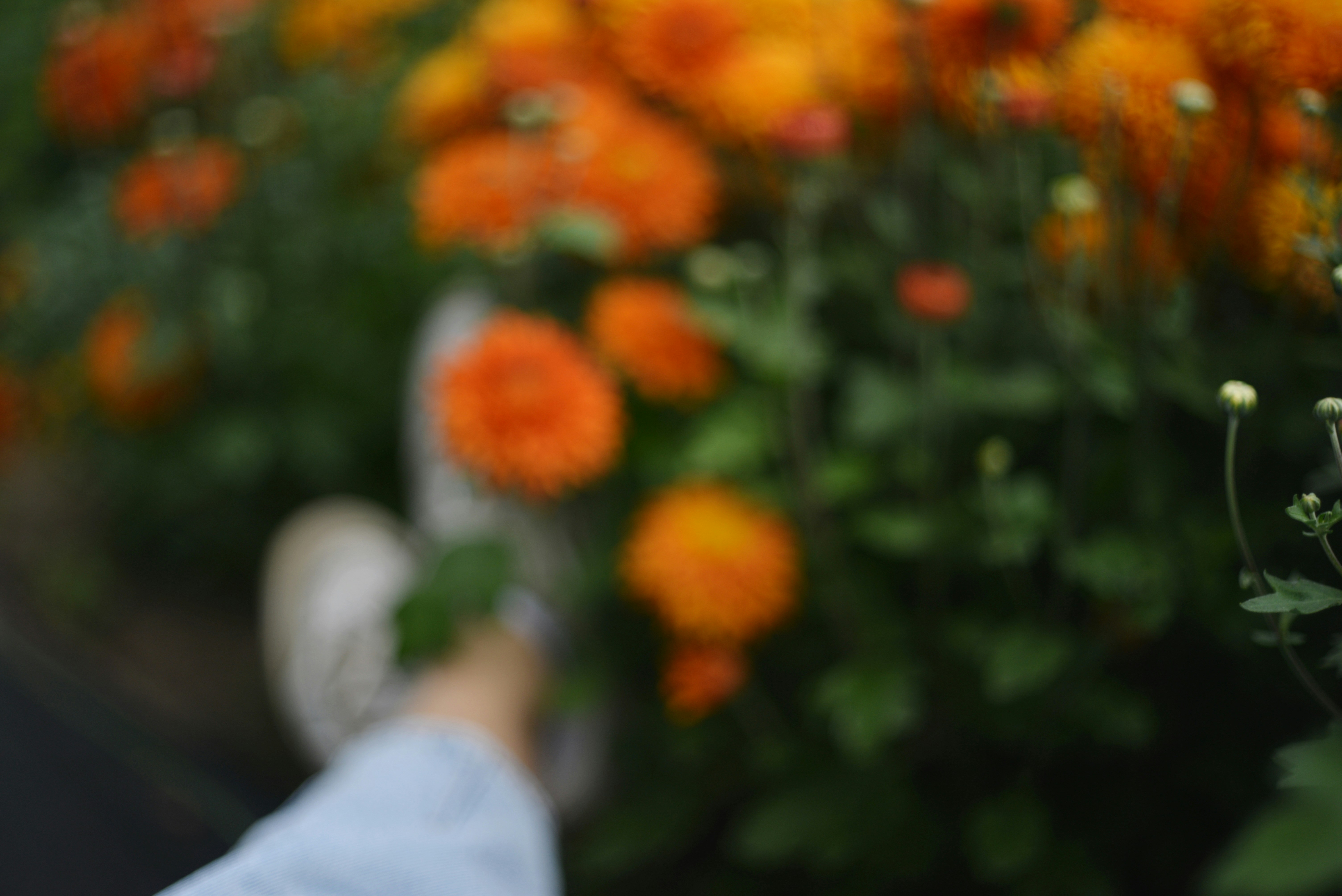 Photo by cherstve_pechivo