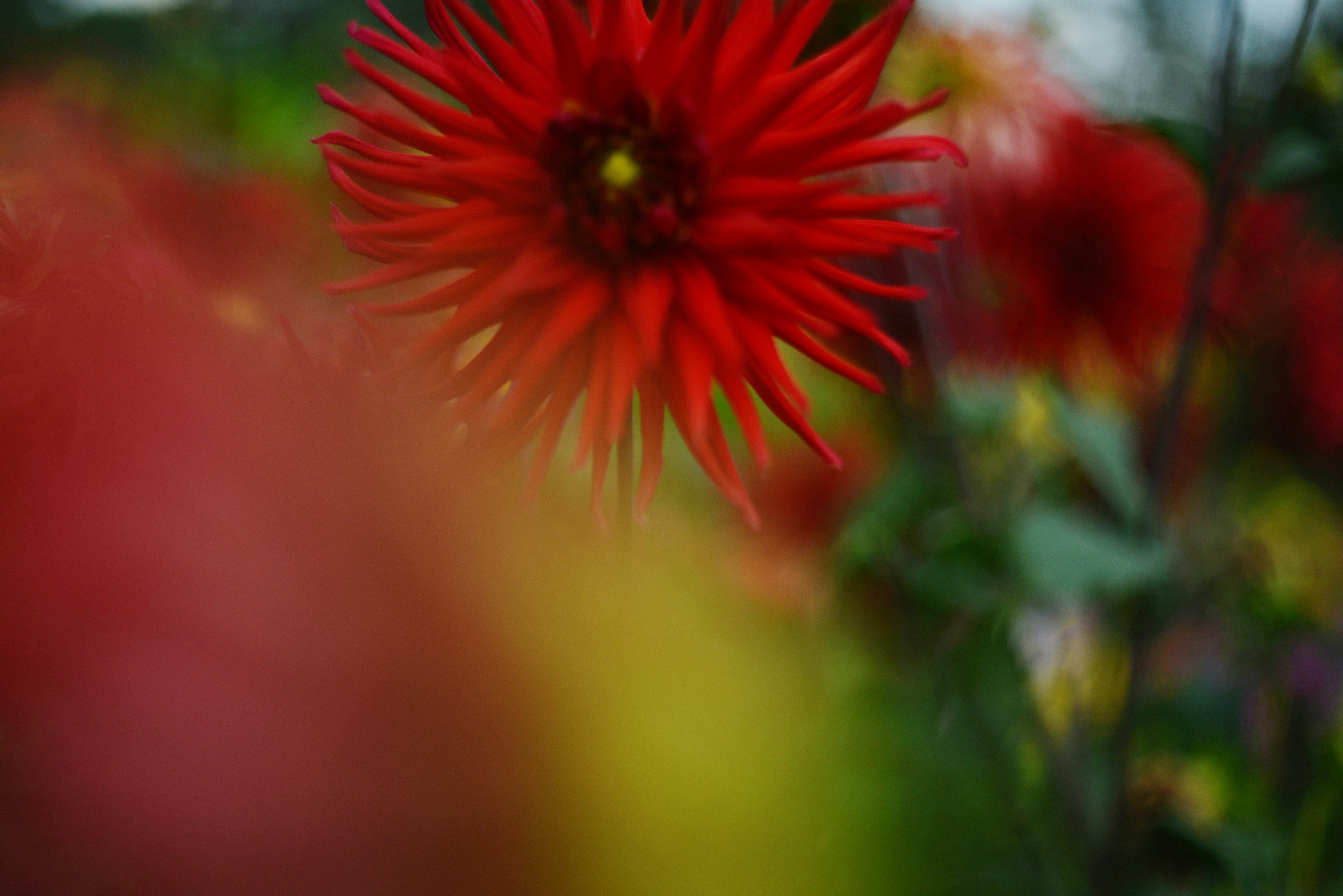 Photo by cherstve_pechivo