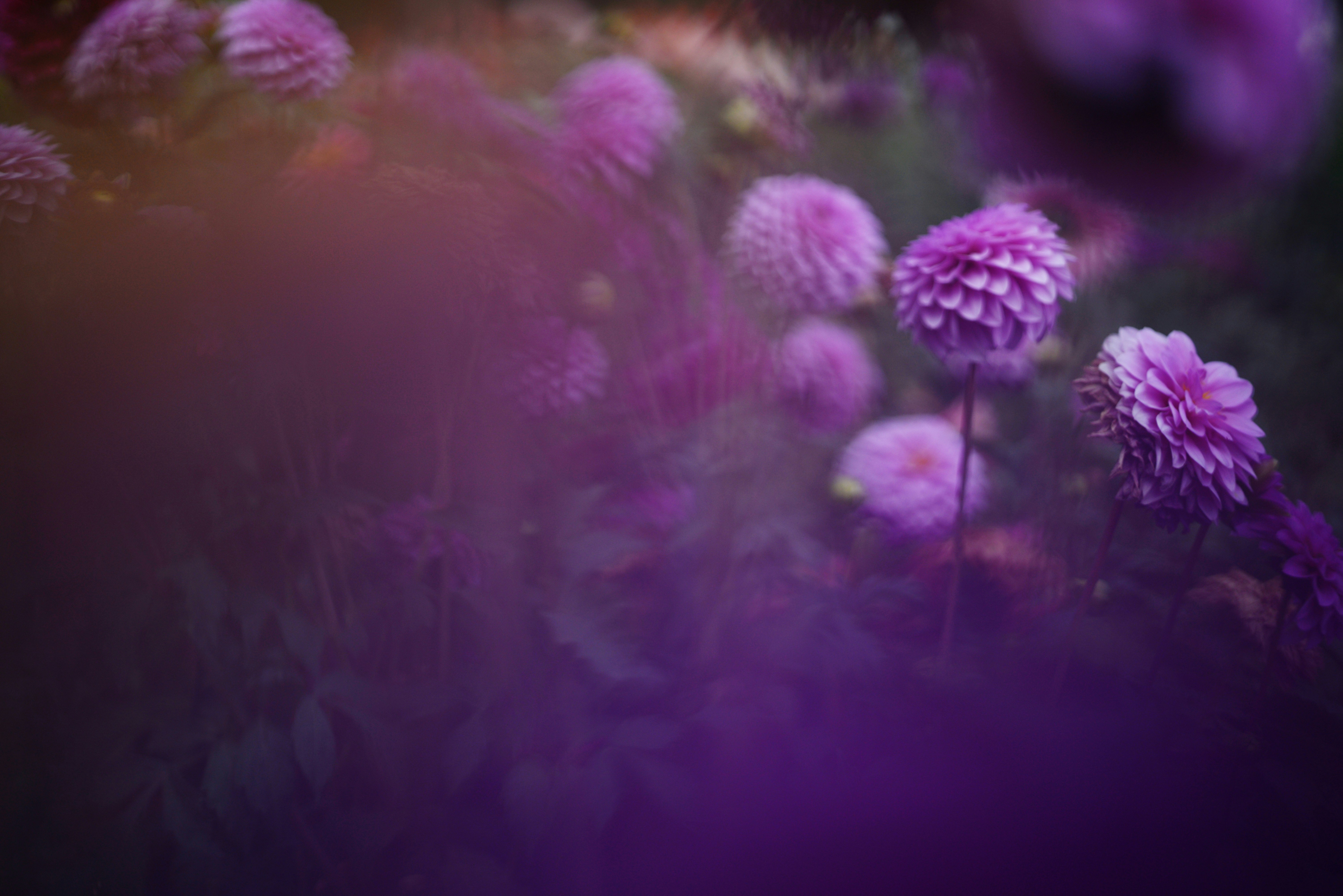 Photo by cherstve_pechivo