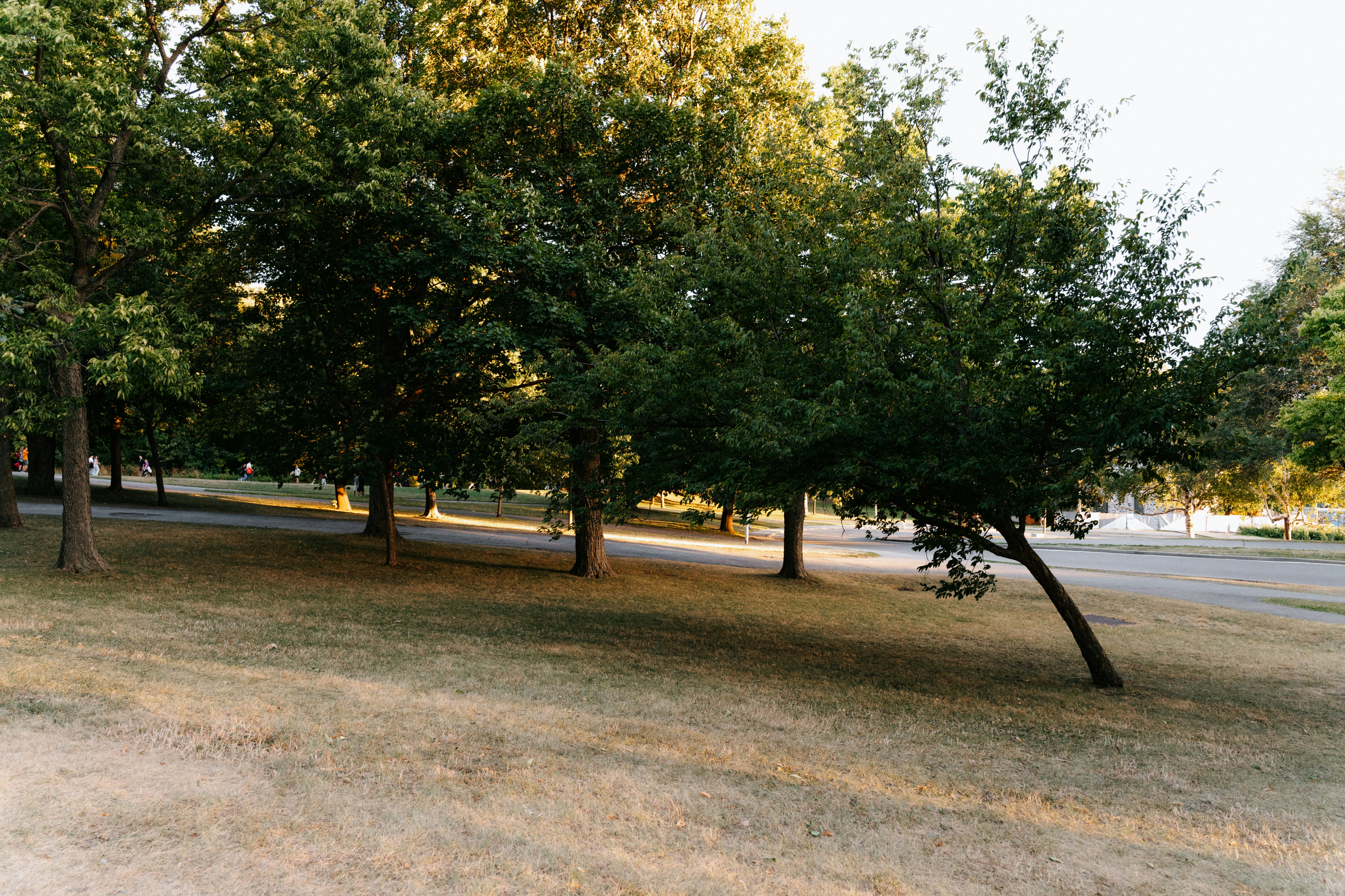 Photo by matreding
