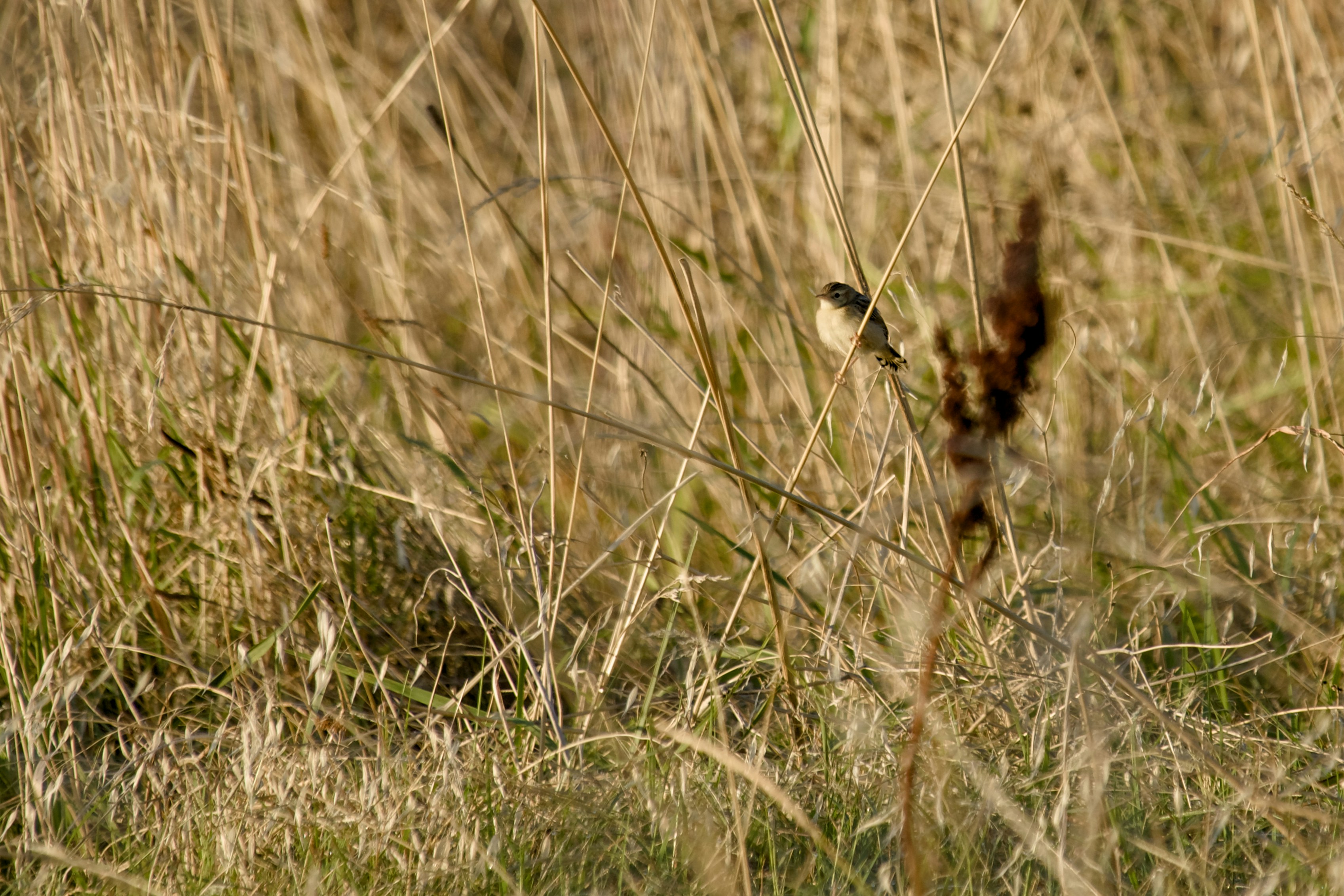 Photo by mariobeducci