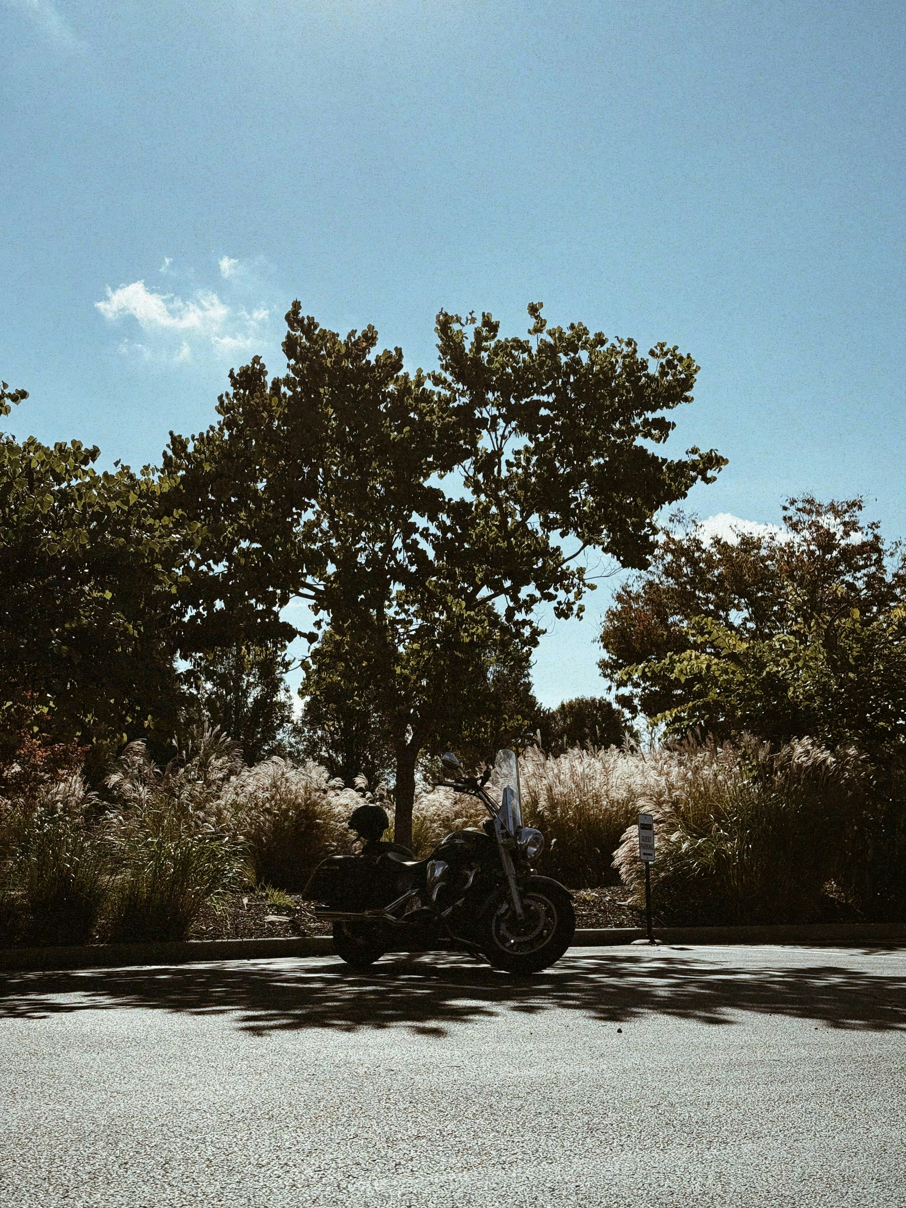 Photo by skyler_tv