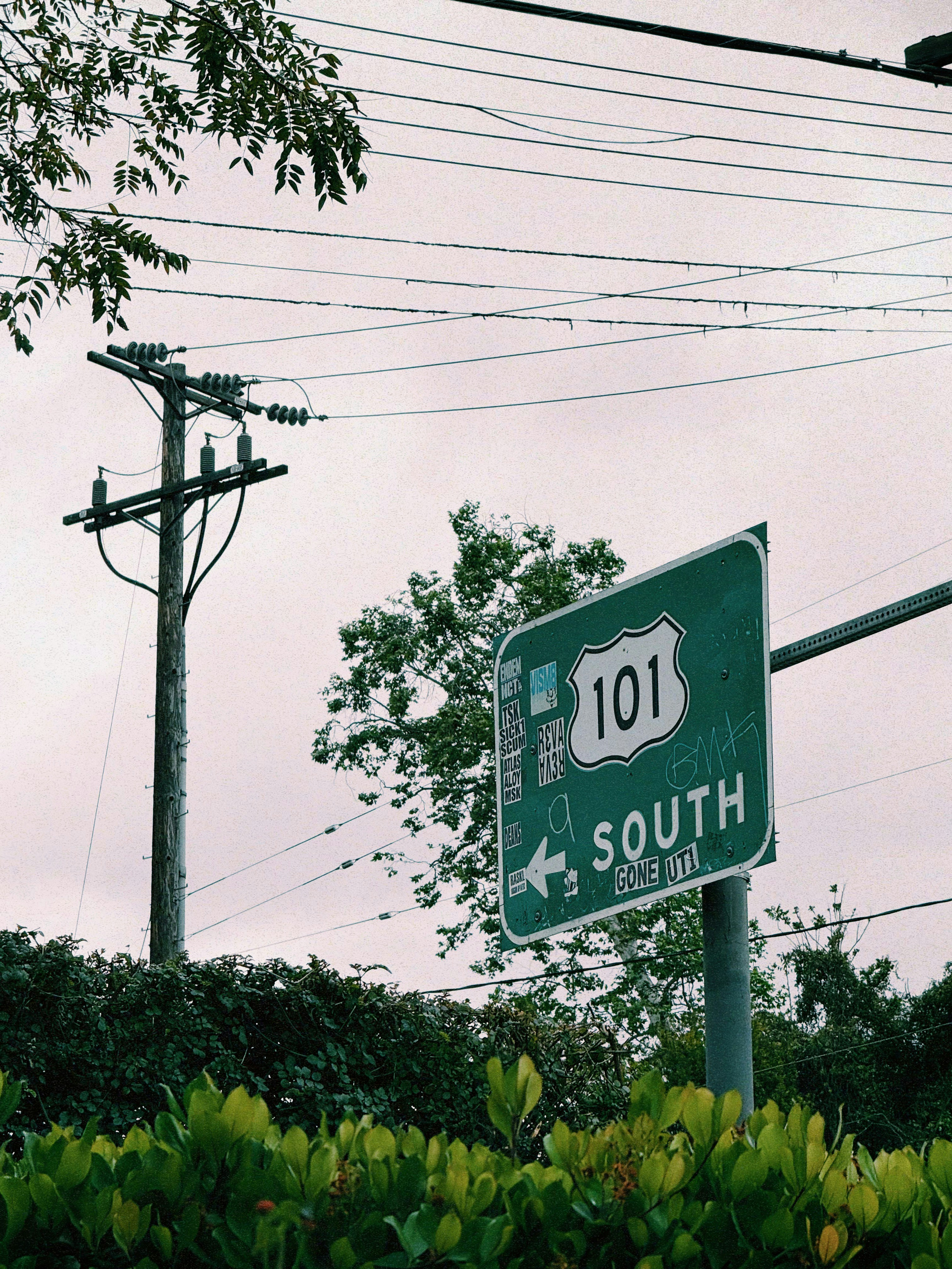 Highway 101 south road sign with trees and trees