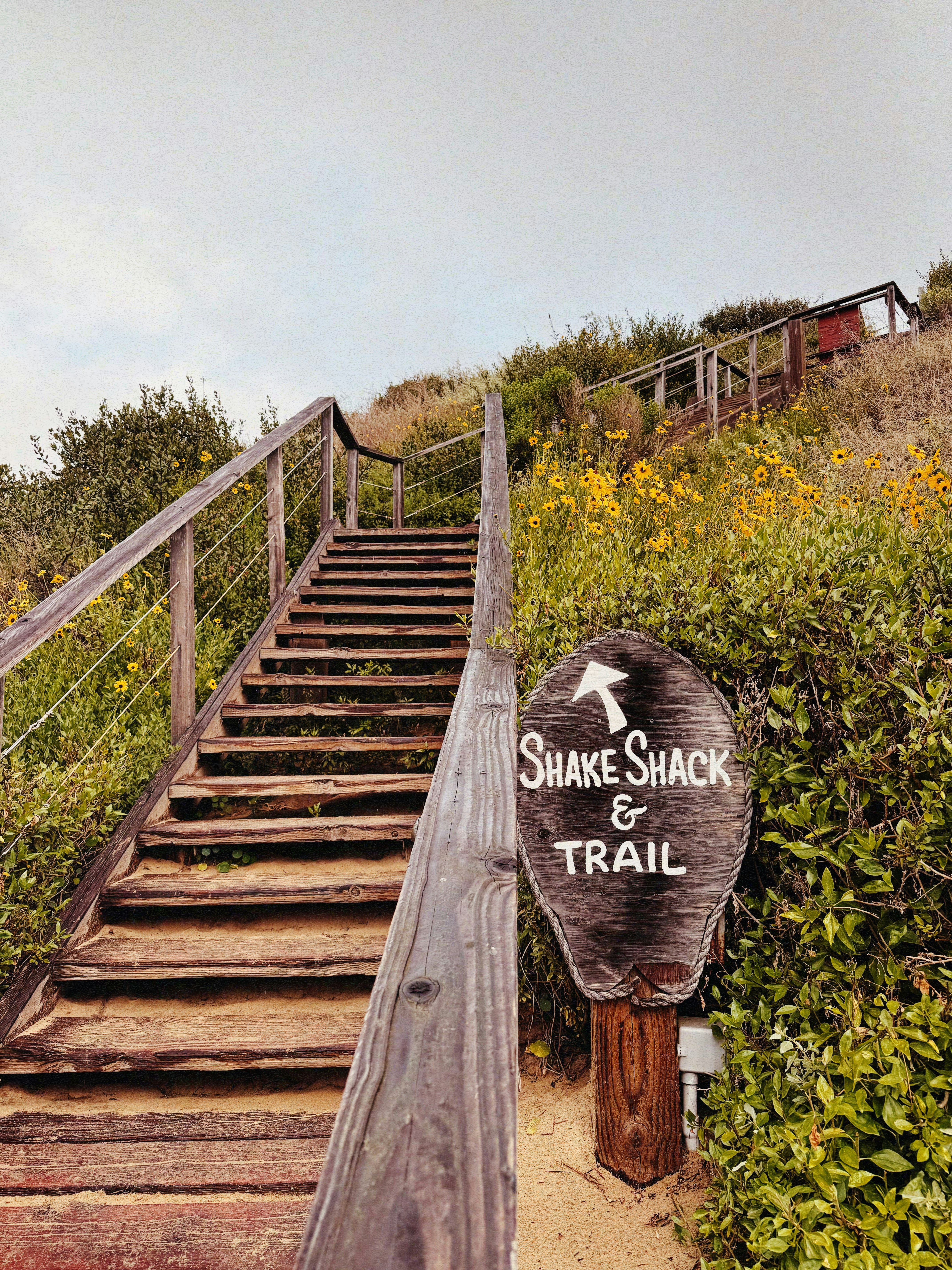 Wooden stairs lead up a hill with a sign.