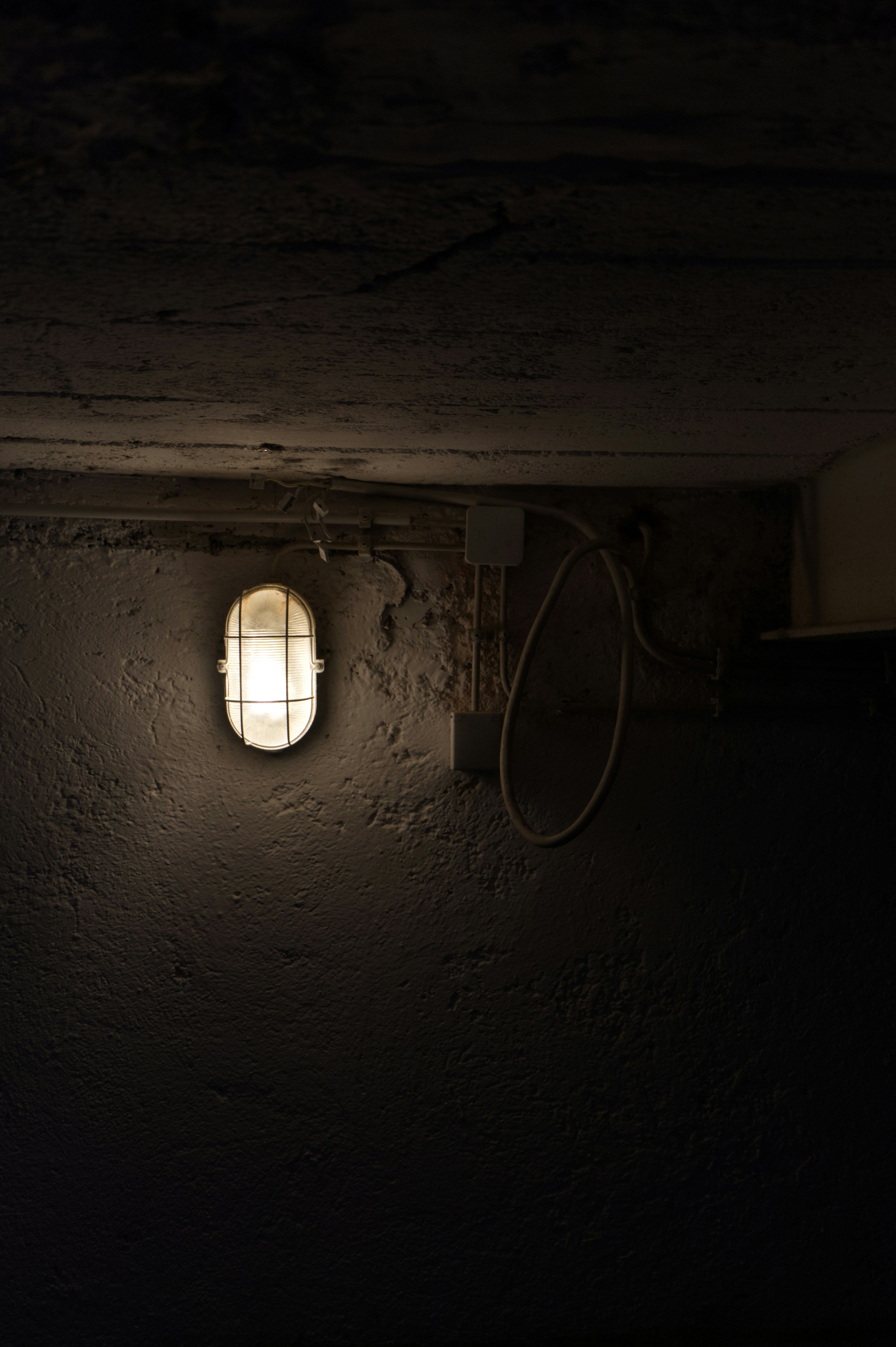 Photo by spaceboundstudio