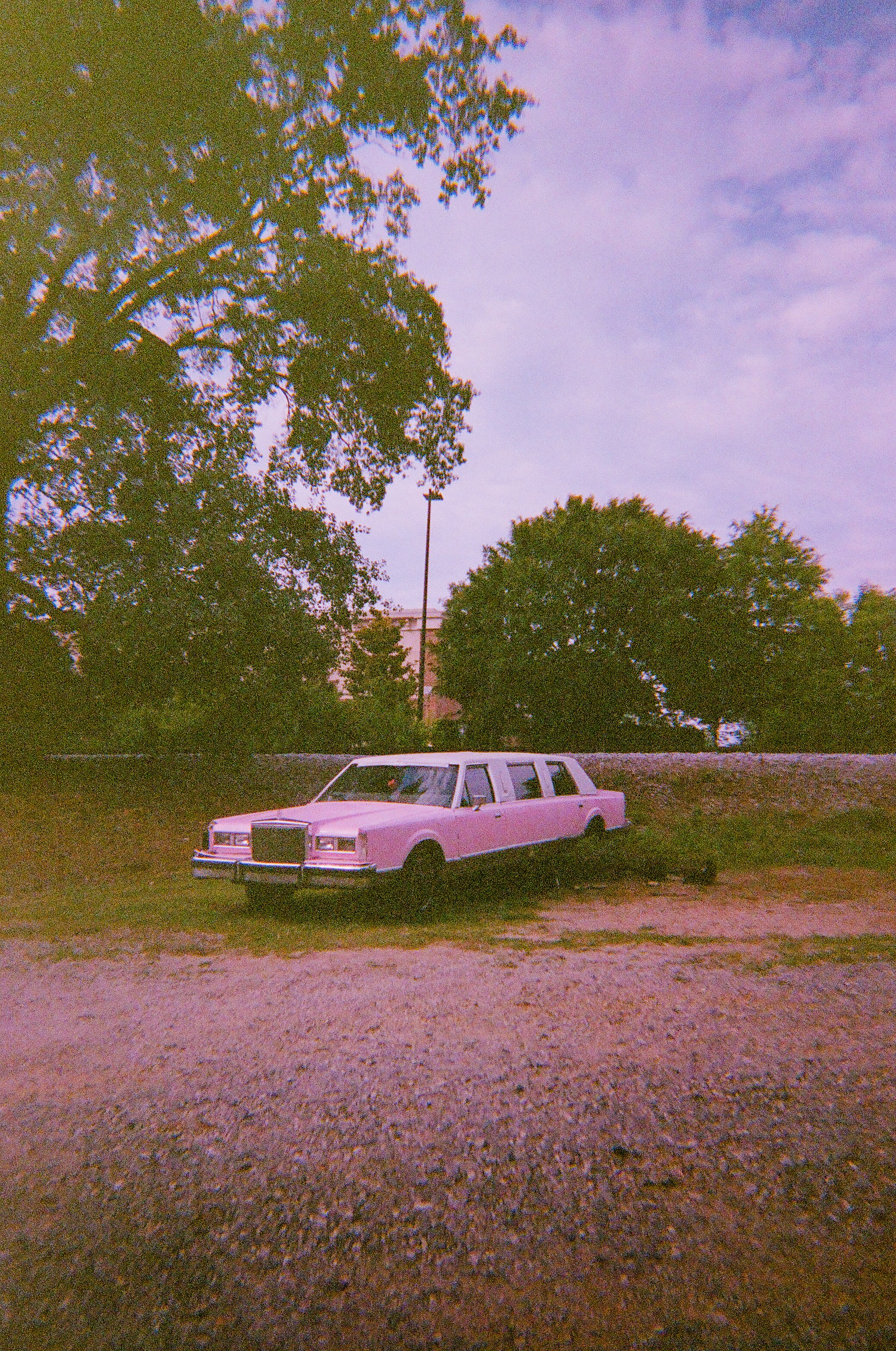 A pink limousine parked in a grassy area.