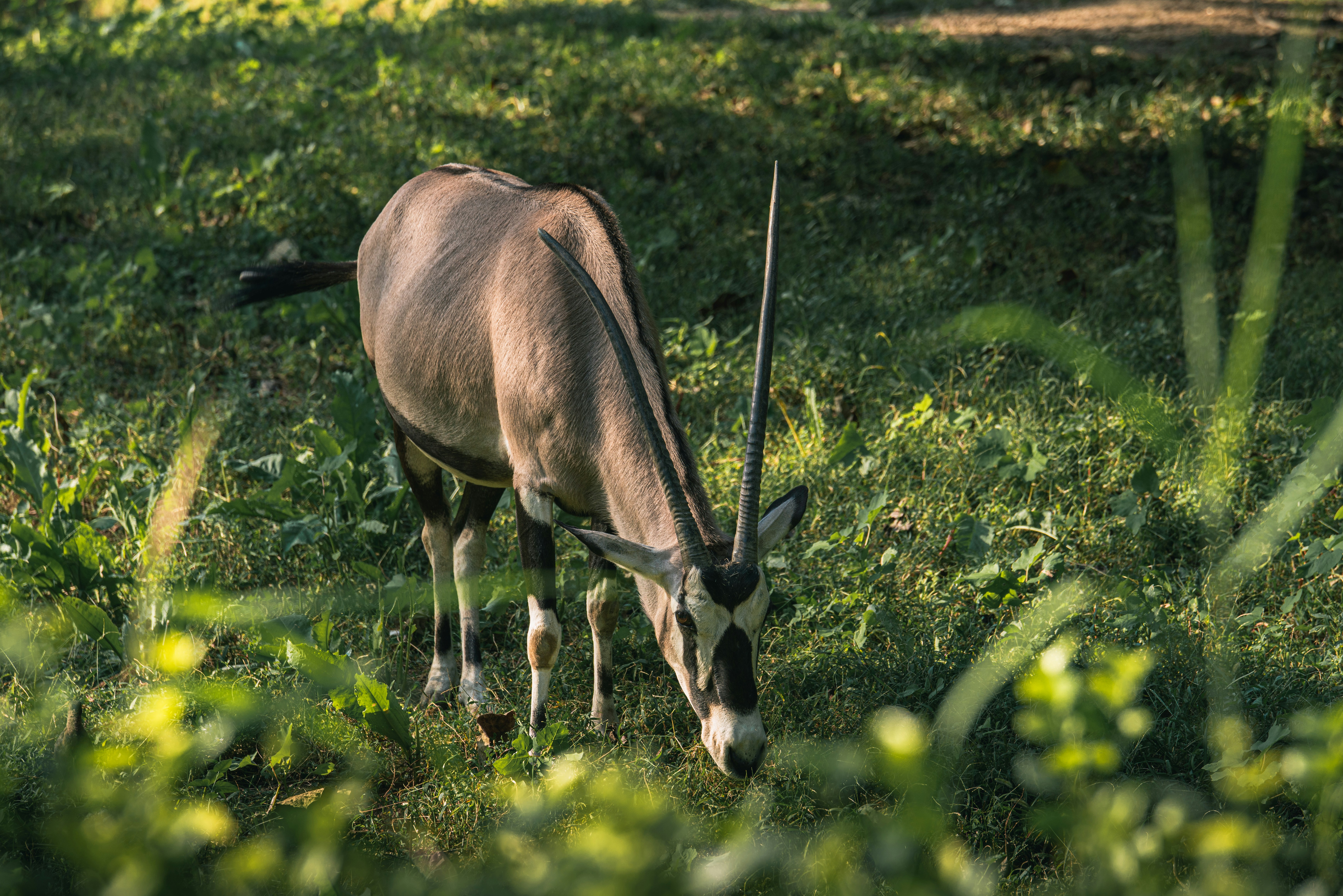 Photo by peek_a_boo_who