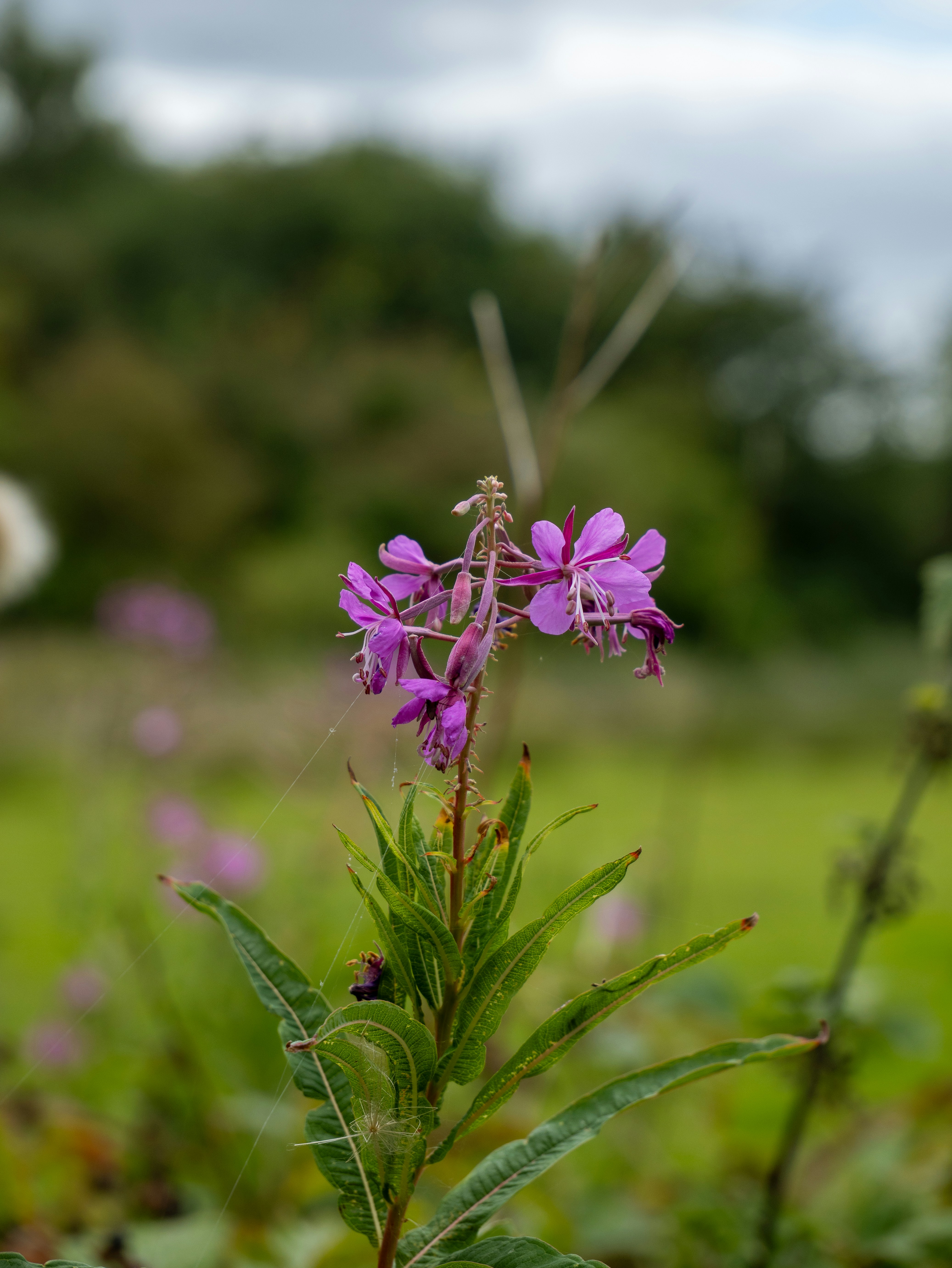 Photo by keal_the_camera_guy1