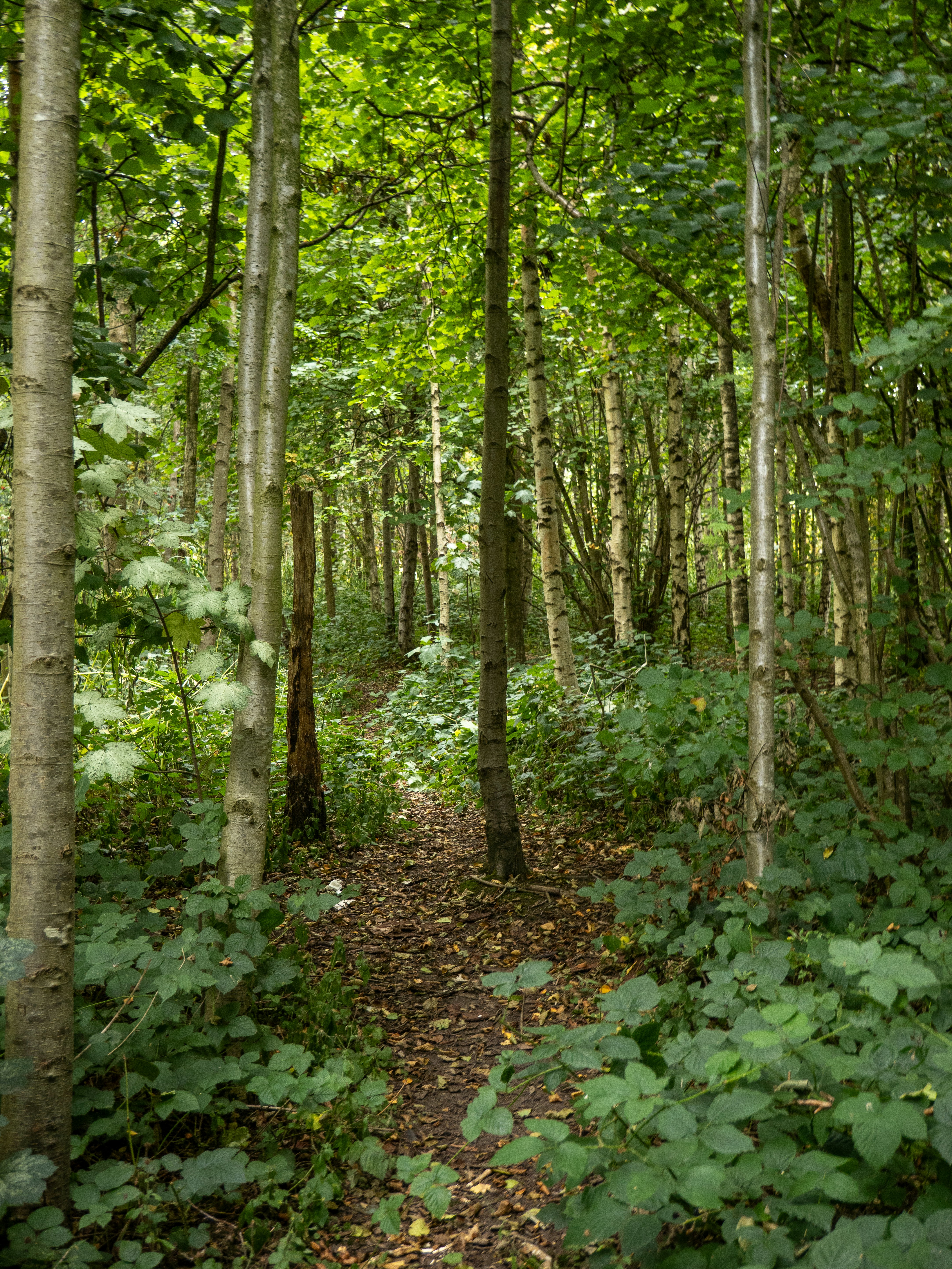 Photo by keal_the_camera_guy1