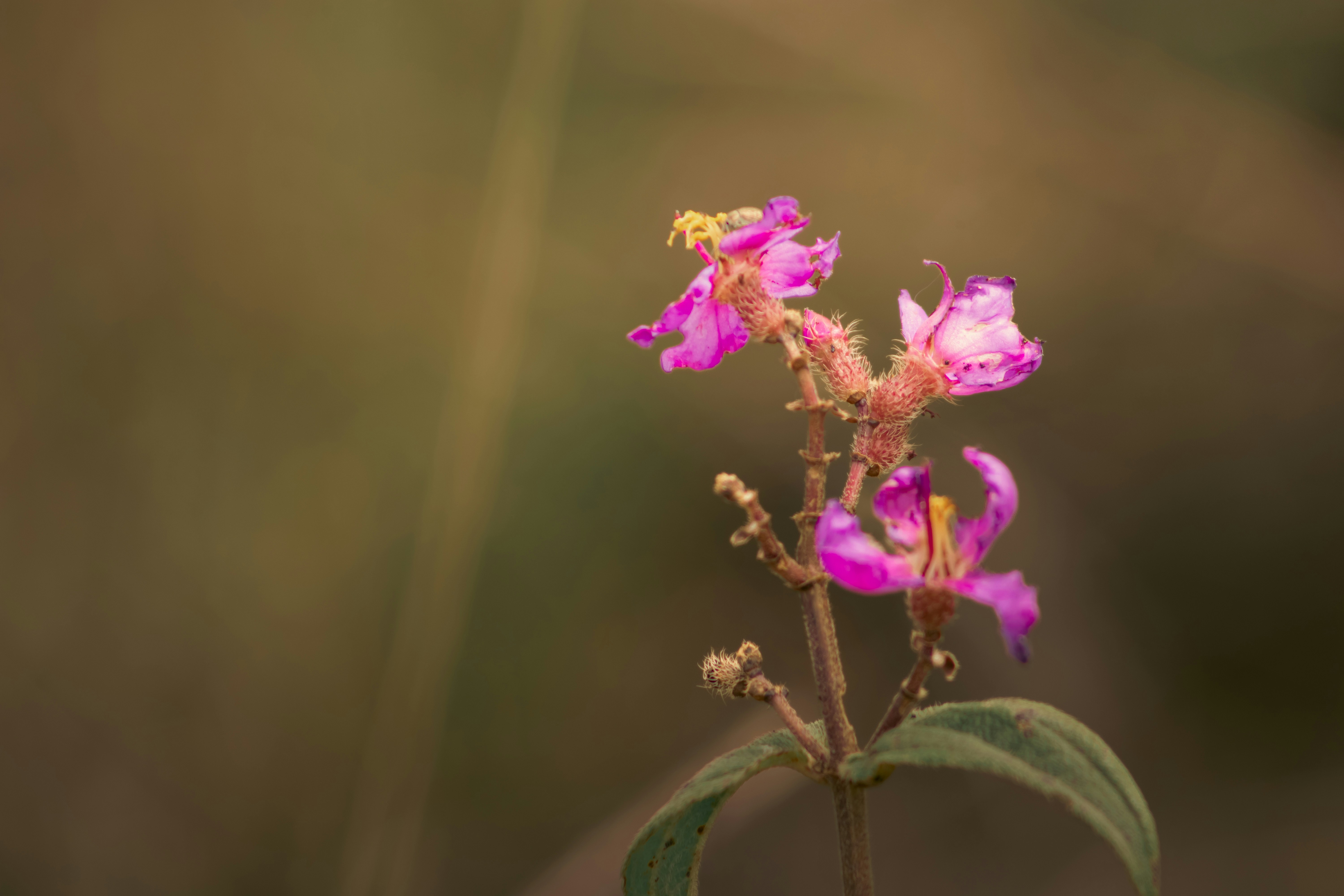 Photo by photoriksha