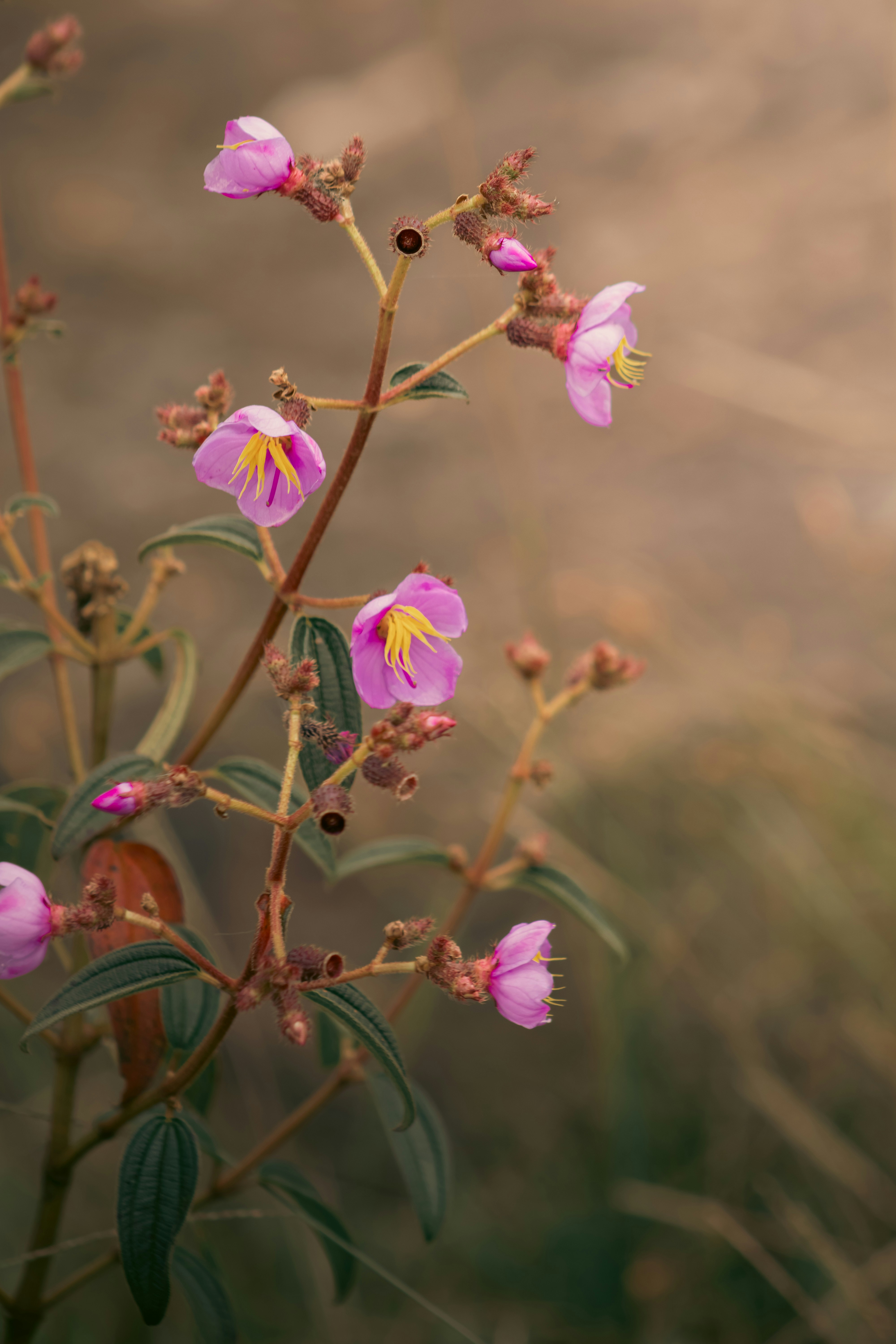 Photo by photoriksha