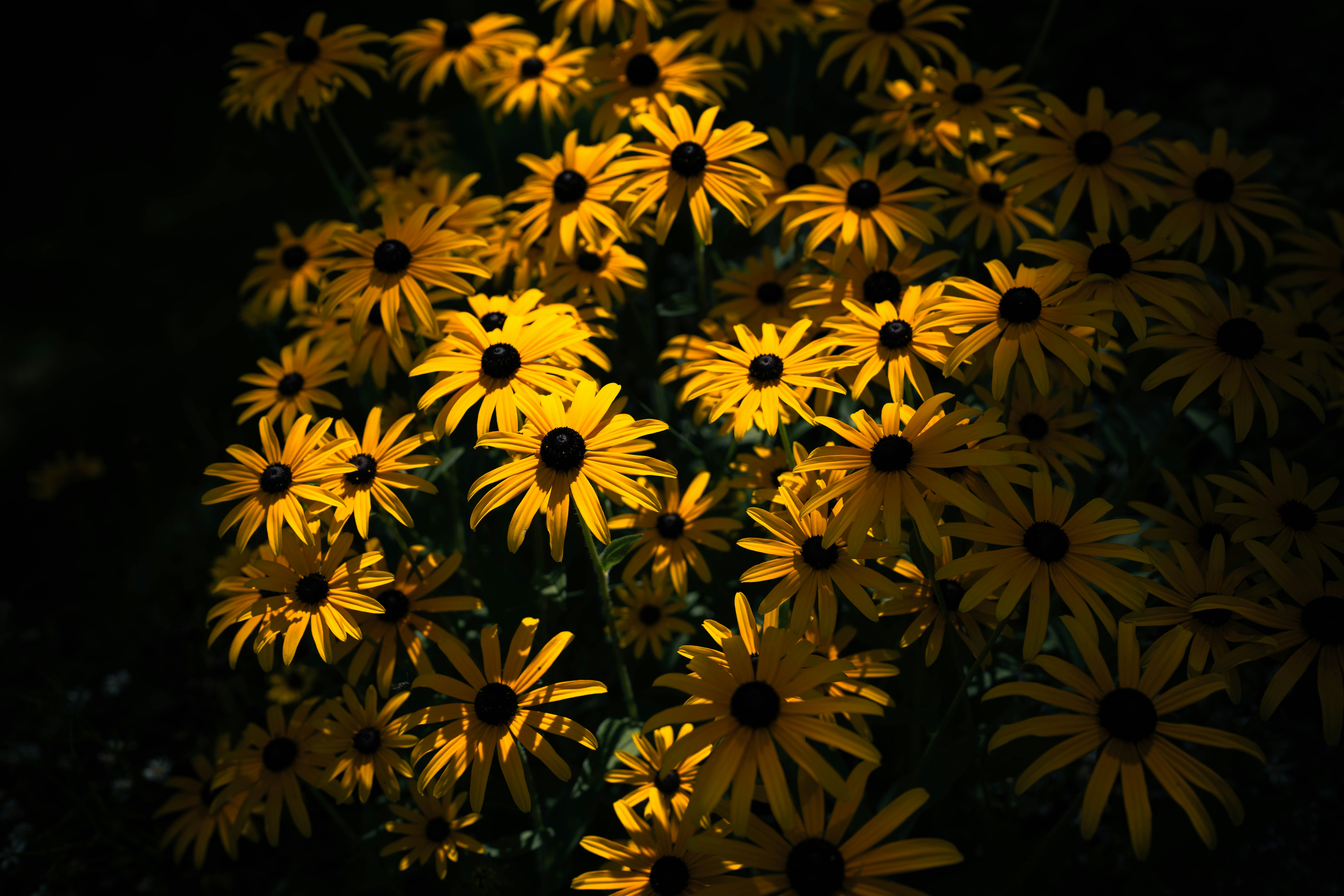 Photo by omikron