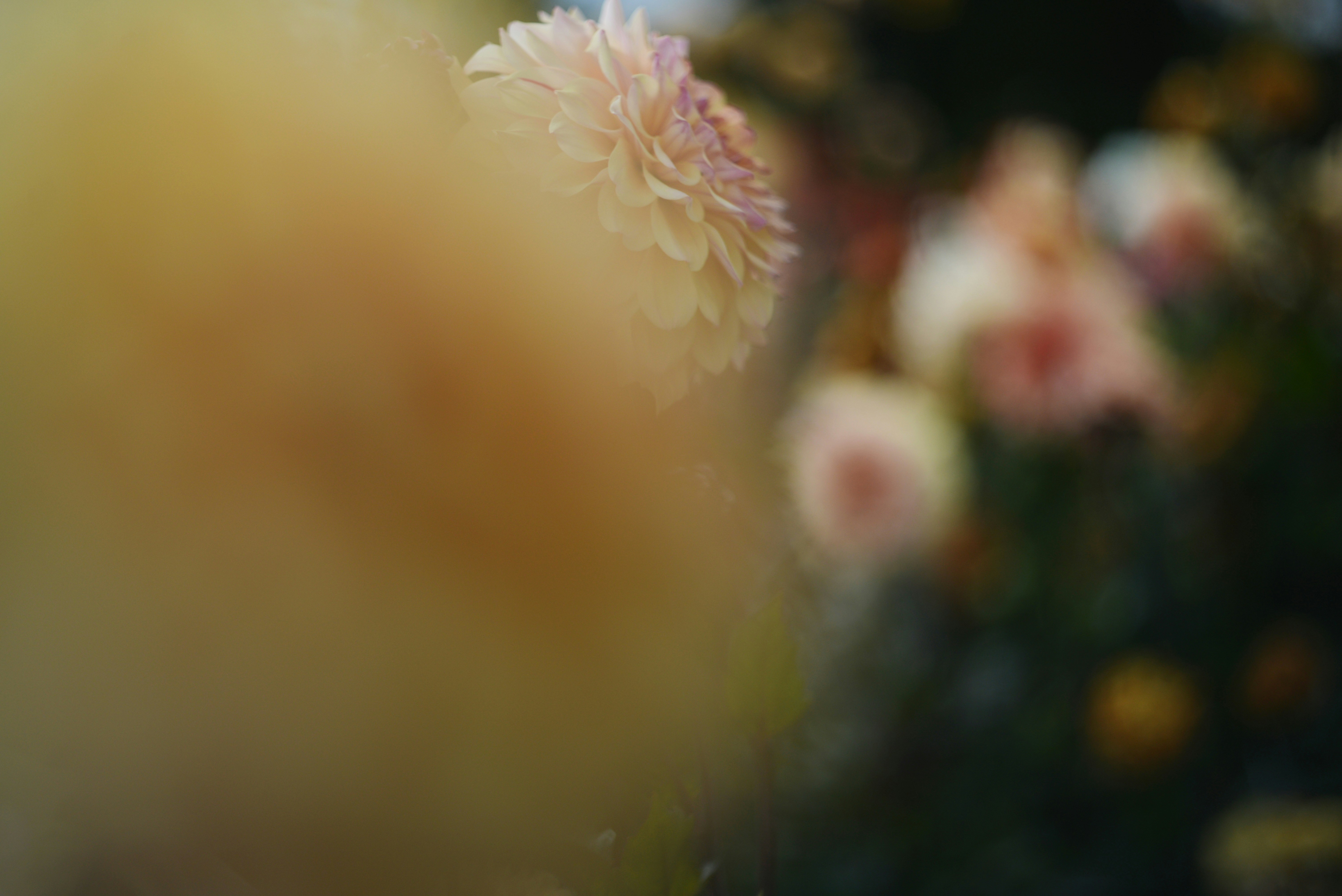 Photo by cherstve_pechivo